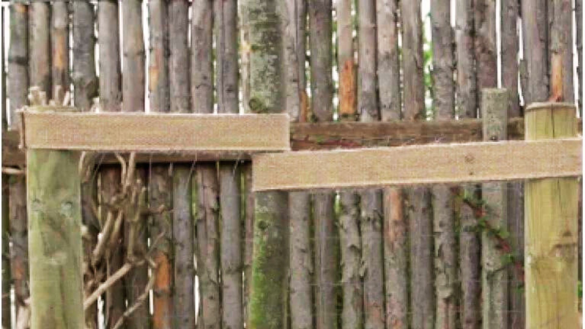 127-Billeder i mails og artikler (1920 × 1080px) - 2024-01-26T104039.515.jpg