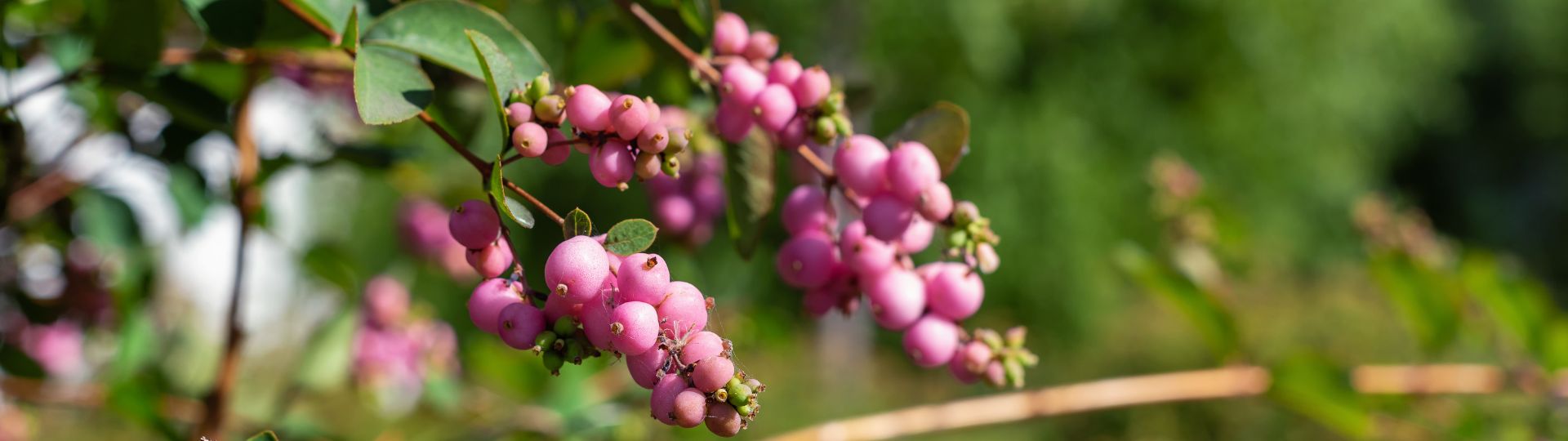 127-til lister (1920 × 540px) (9).jpg