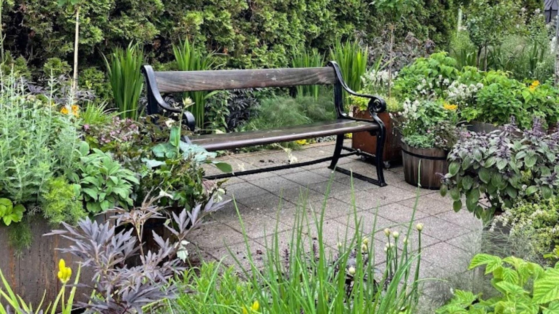 145-Billeder i mails og artikler (1920 × 1080px) (44).jpg