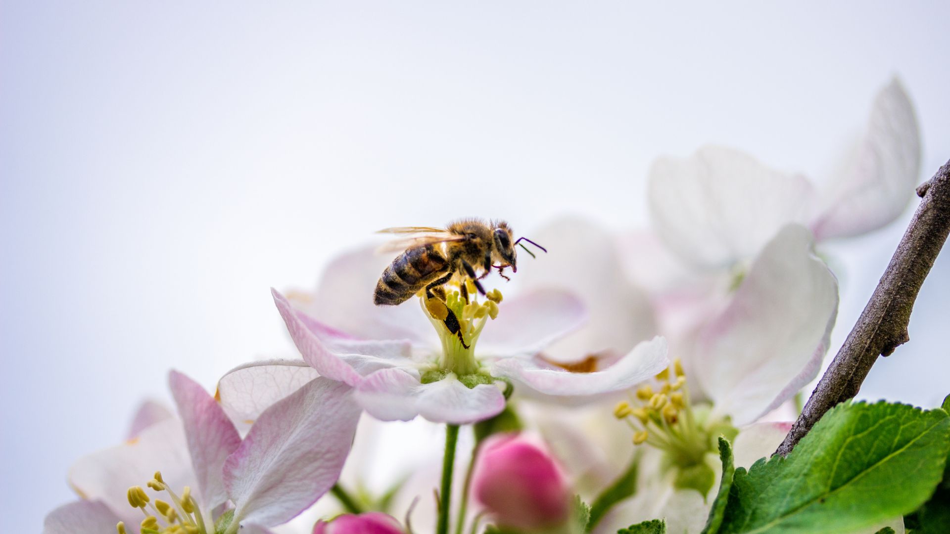 146-Billeder i mails og artikler (1920 × 1080px) - 2023-06-13T091034.734.jpg