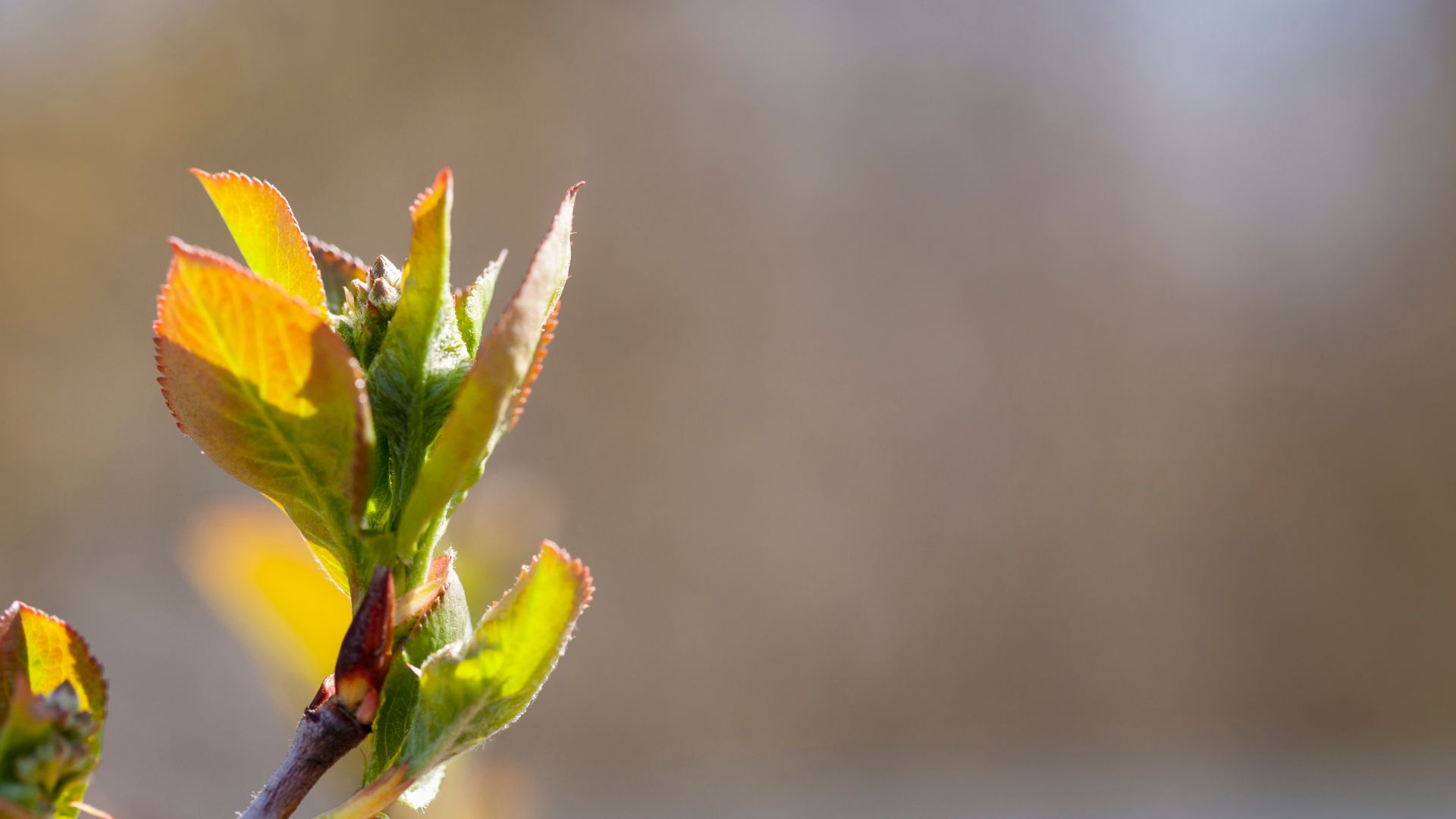 146-Billeder i mails og artikler (1920 × 1080px) - 2023-07-17T104645.009.jpg