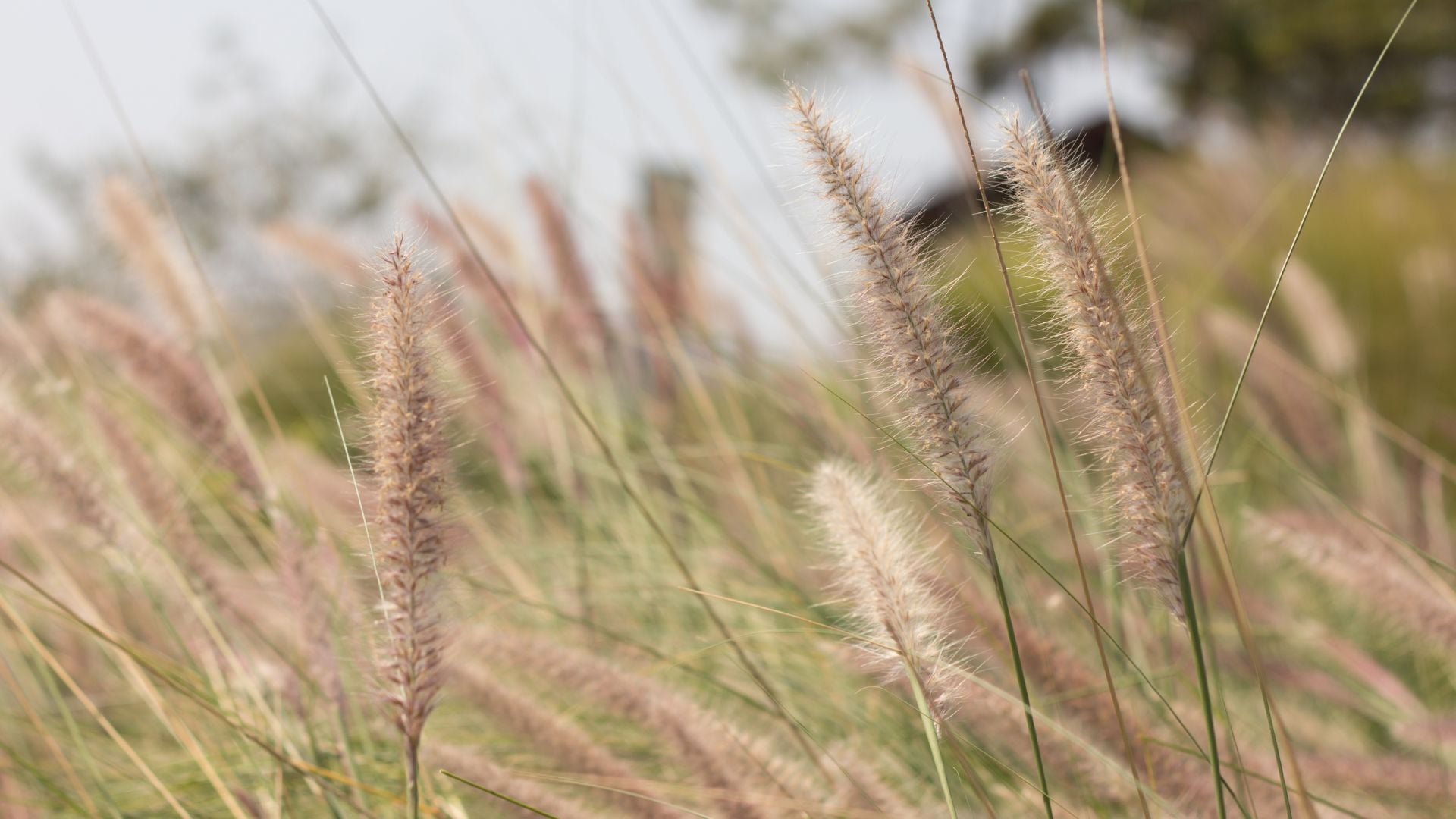 147-Billeder i mails og artikler (1920 × 1080px) (46).jpg