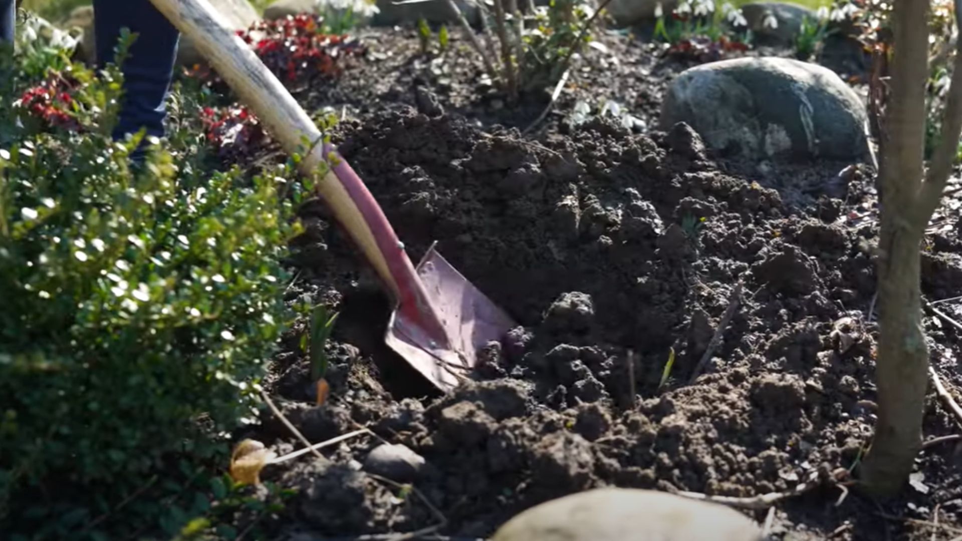 15-Billeder i mails og artikler (1920 × 1080px) - 2024-01-24T155017.644.jpg