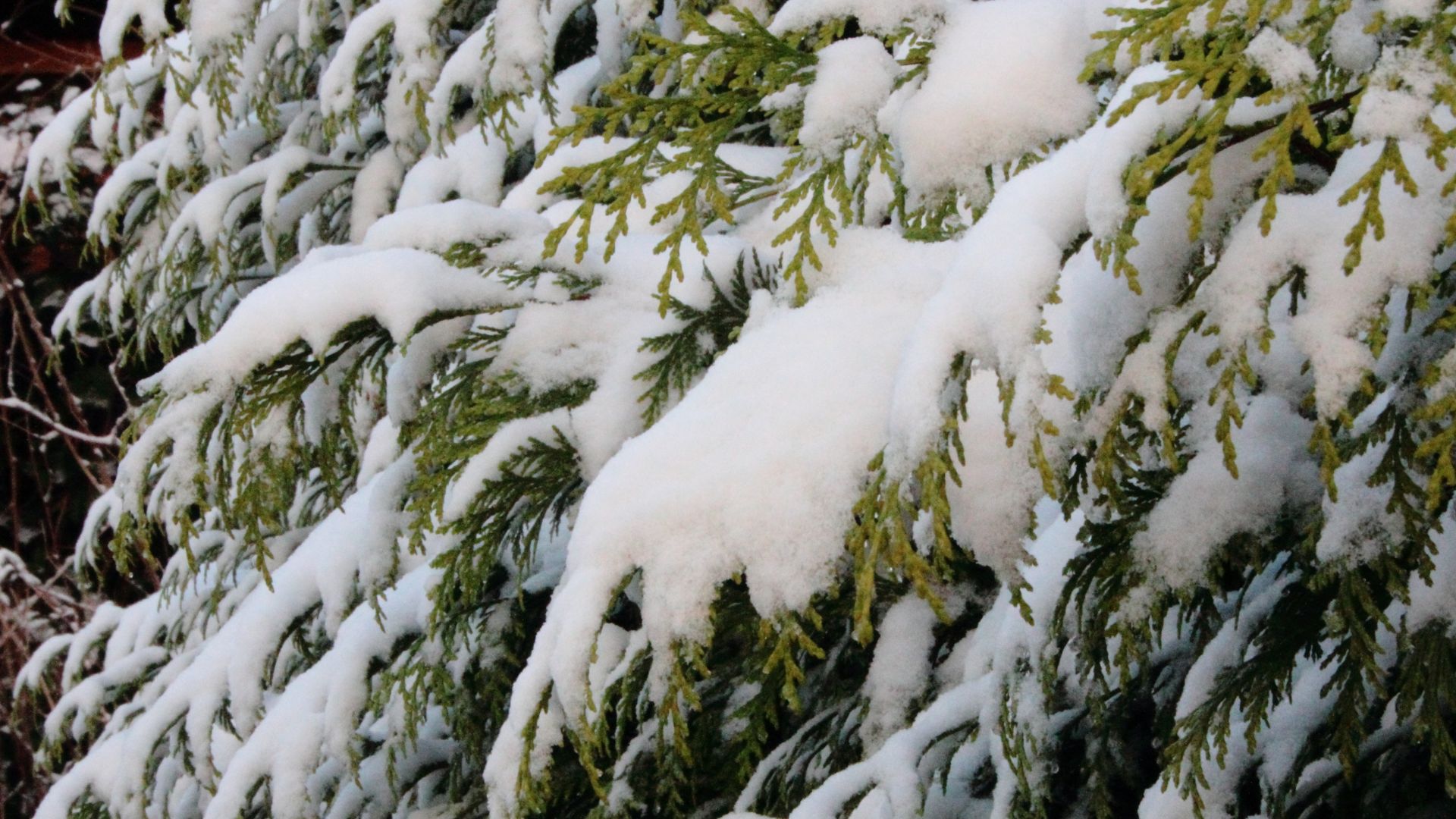 151-Billeder i mails og artikler (1920 × 1080px) - 2024-01-05T092746.206.jpg