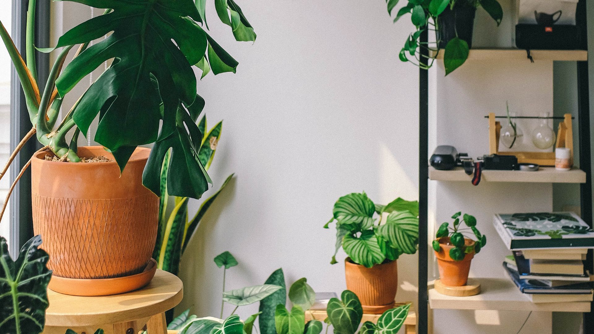 158-Billeder i mails og artikler (1920 × 1080px) - 2023-06-14T110134.832.jpg