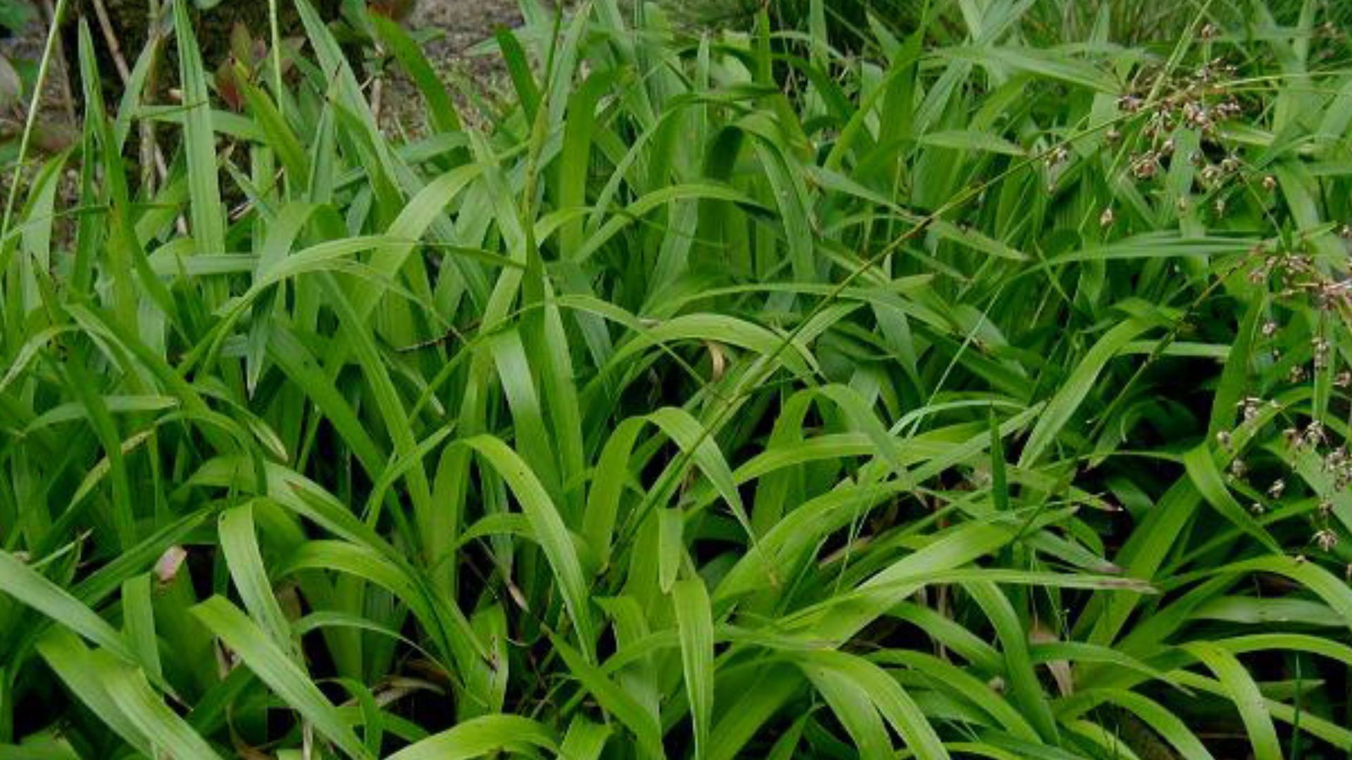 172-Billeder i mails og artikler (1920 × 1080px) - 2023-11-07T132456.623.jpg