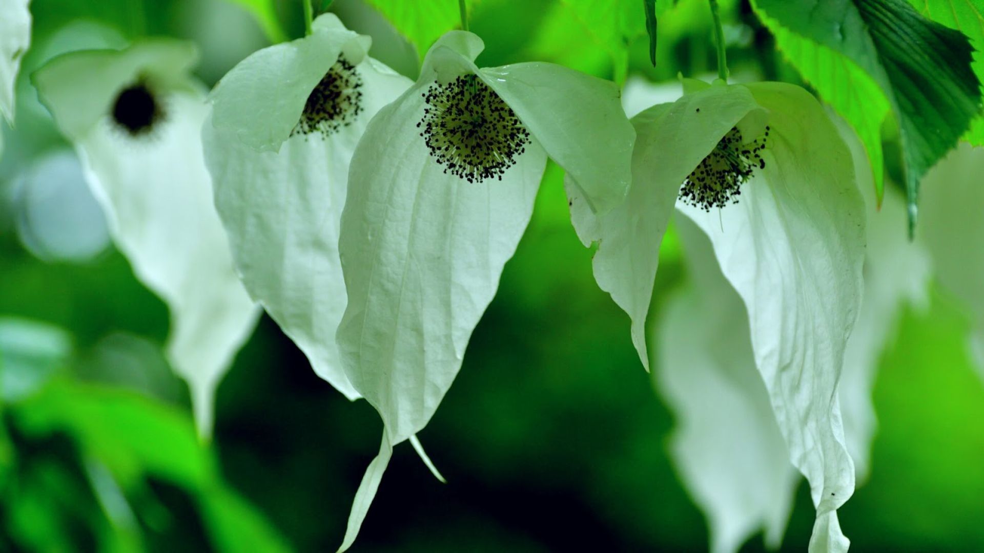 18-Billeder i mails og artikler (1920 × 1080px) (15).jpg