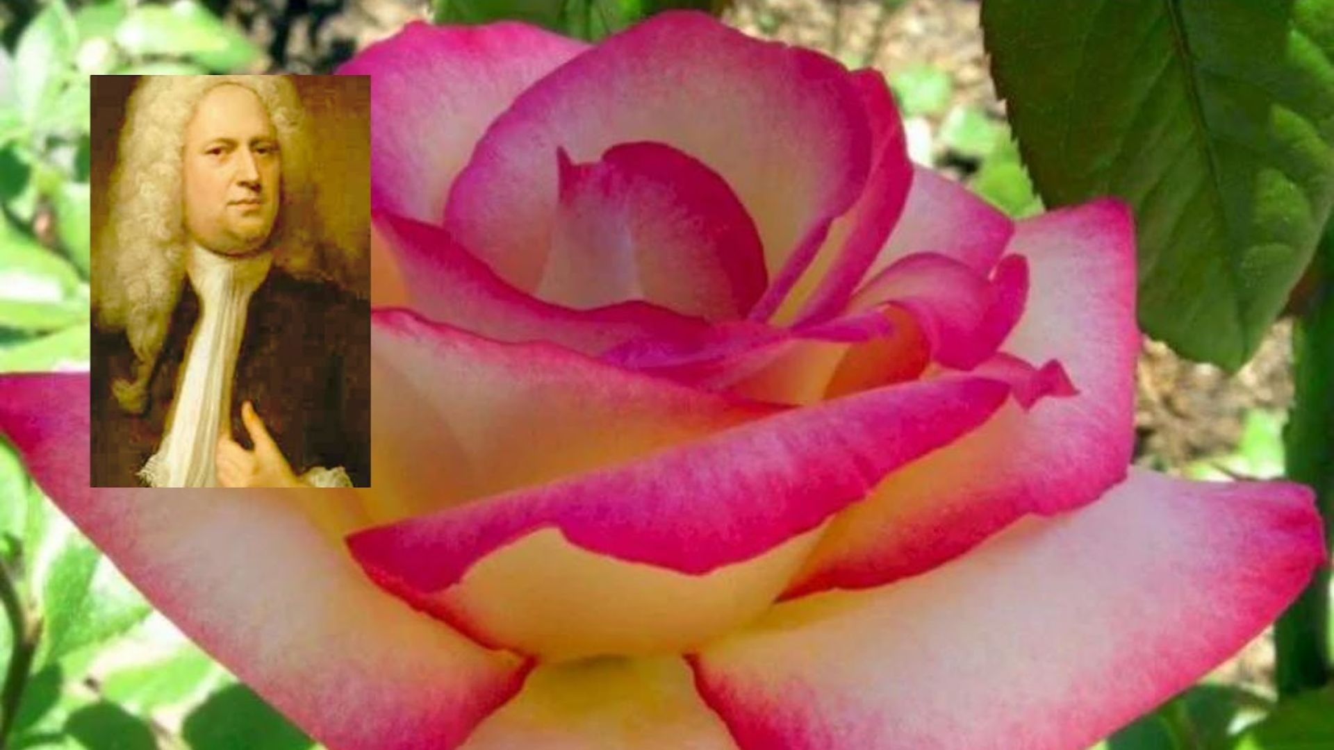 183-Billeder i mails og artikler (1920 × 1080px) (2).jpg