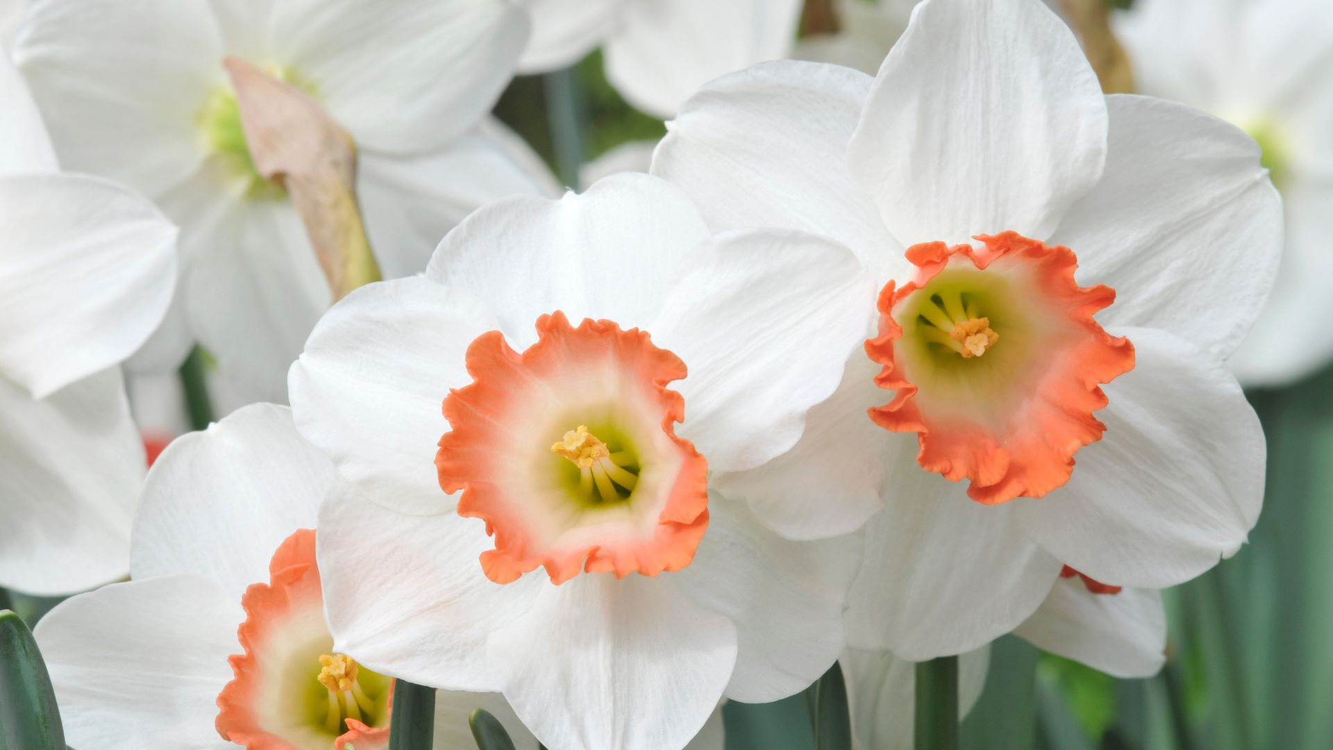 185-Billeder i mails og artikler (1920 × 1080px) - 2023-11-08T100141.148.jpg