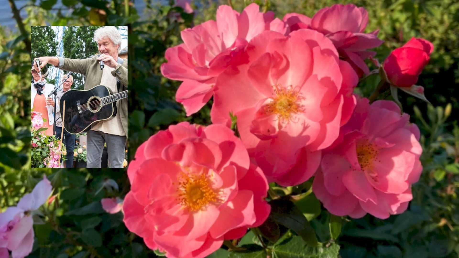 191-Billeder i mails og artikler (1920 × 1080px) (22).jpg