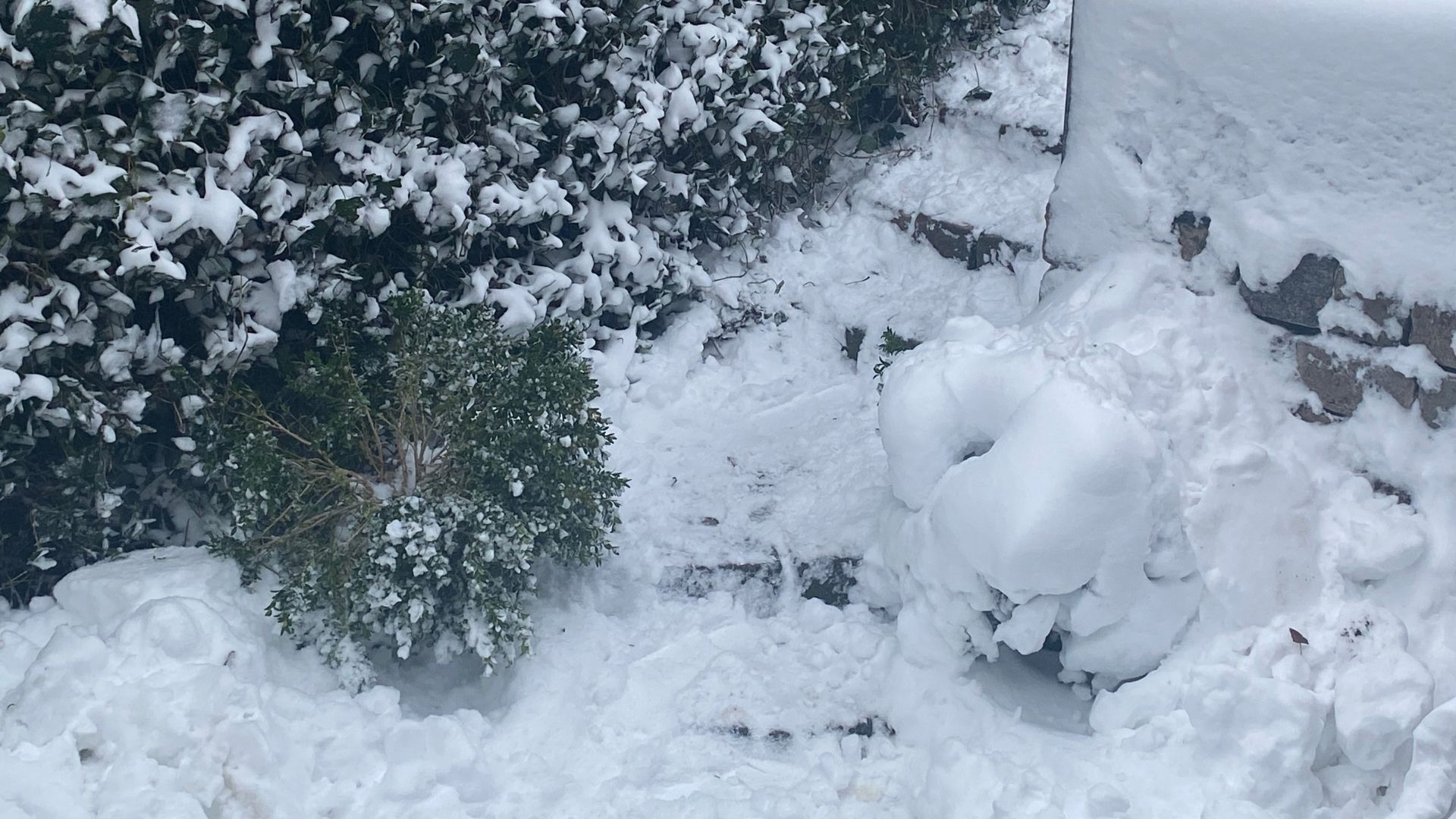 192-Billeder i mails og artikler (1920 × 1080px) - 2024-01-05T092037.065.jpg