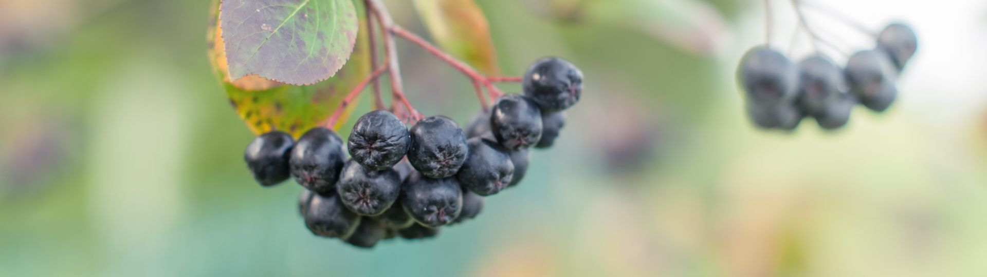 192-til lister (1920 × 540px) (72).jpg