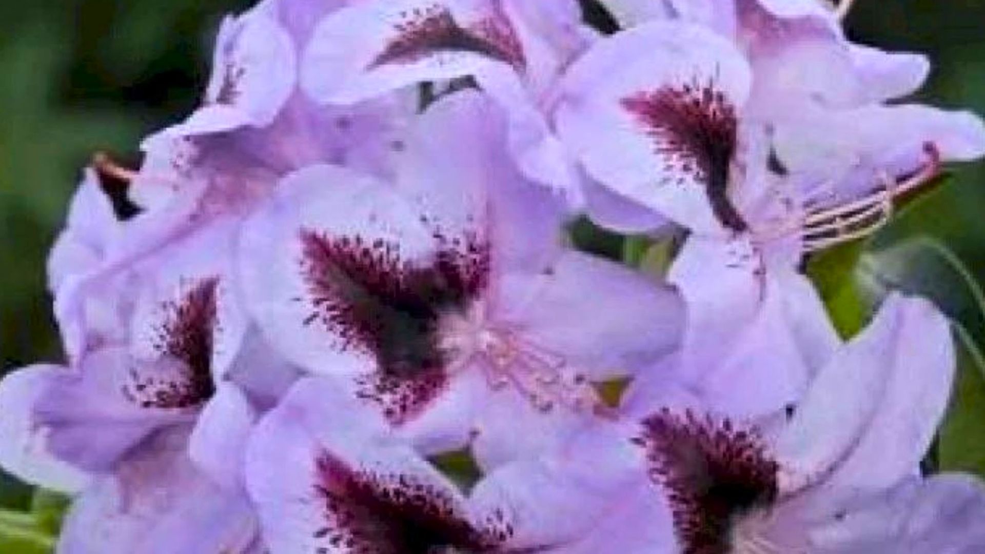 195-Billeder i mails og artikler (1920 × 1080px) (16).jpg