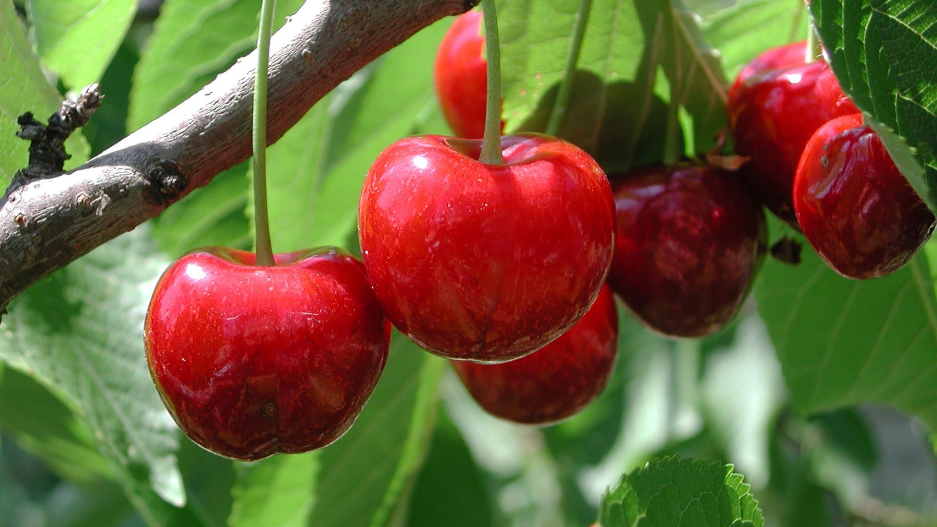 195-Billeder i mails og artikler (1920 × 1080px) (30).jpg