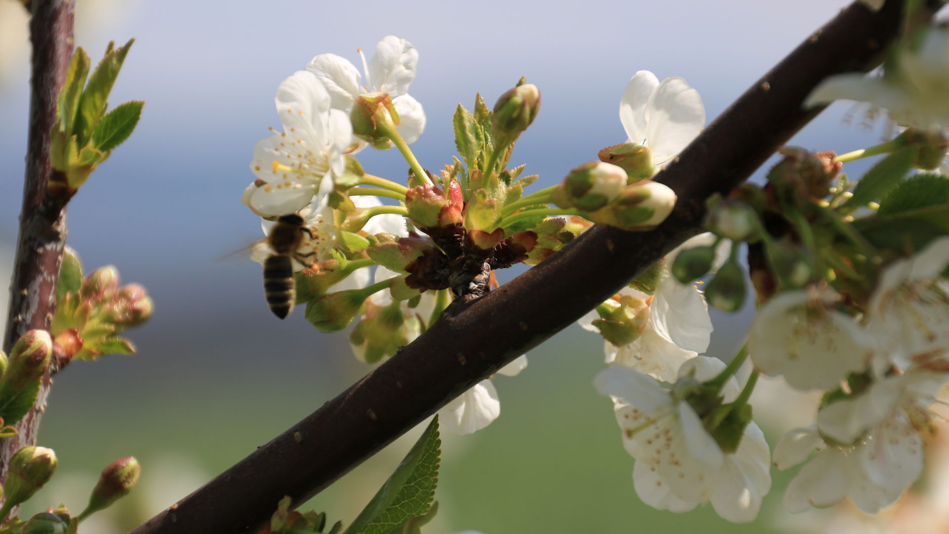 198-Billeder i mails og artikler (1920 × 1080px) (32).jpg