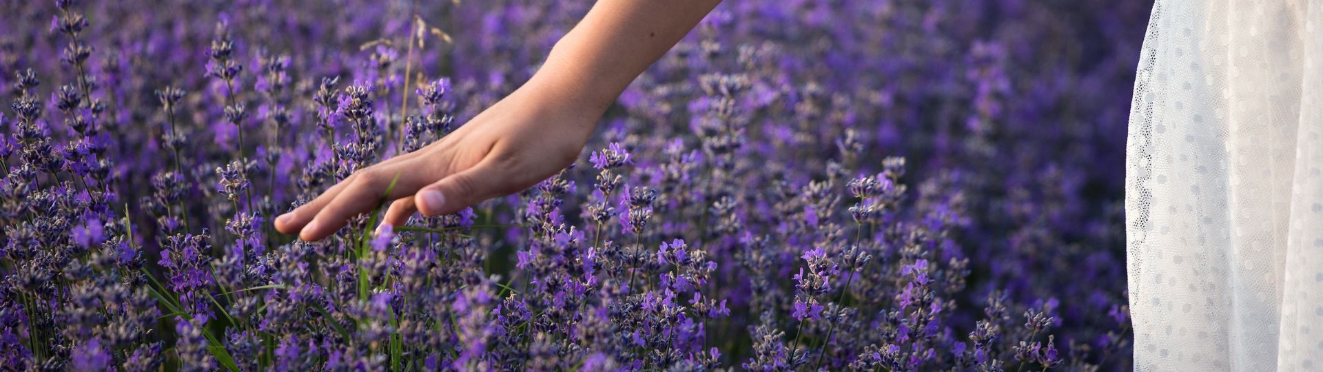 204-til lister (1920 × 540px) (14).jpg