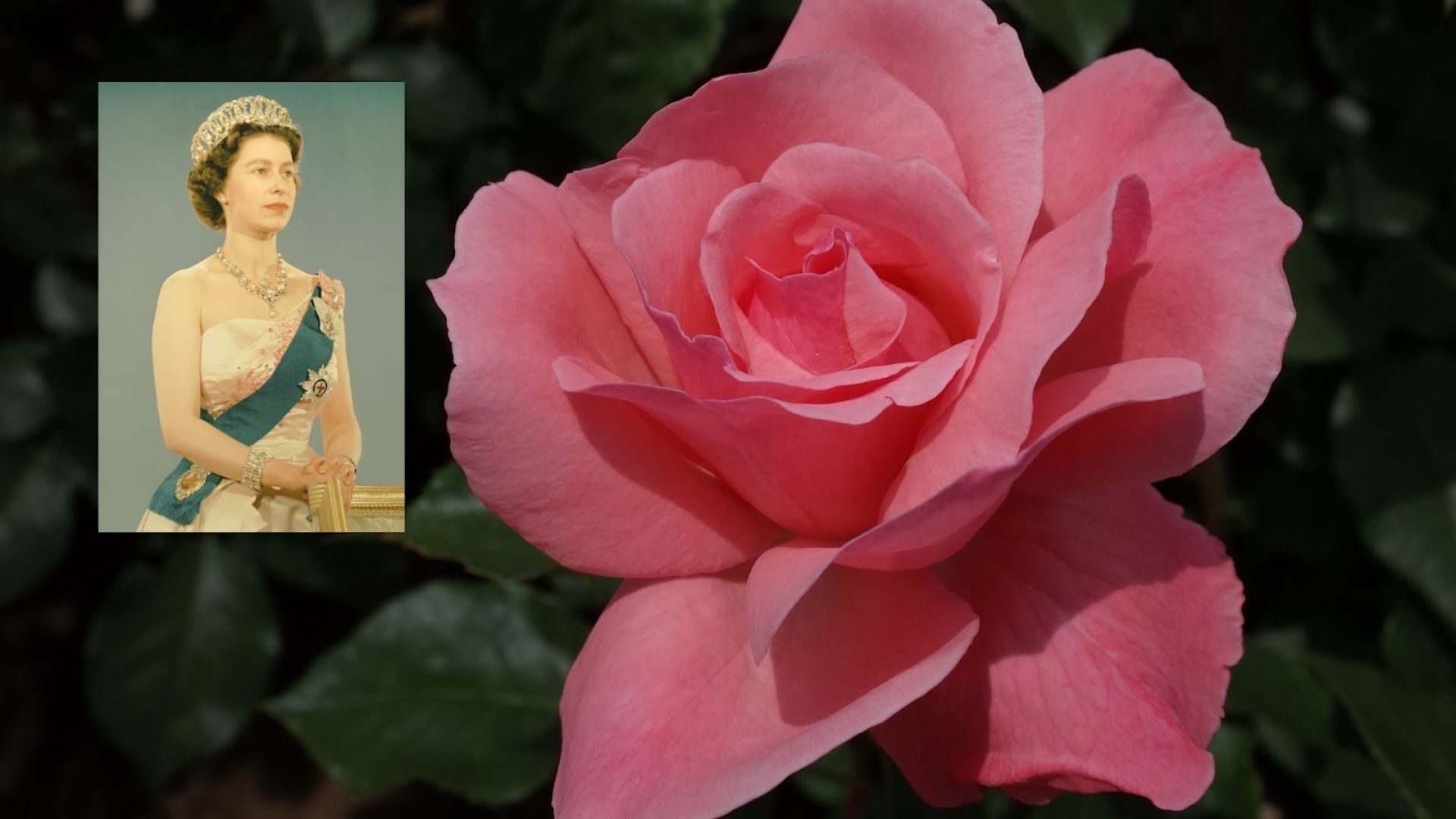 215-Billeder i mails og artikler (1920 × 1080px) (14).jpg