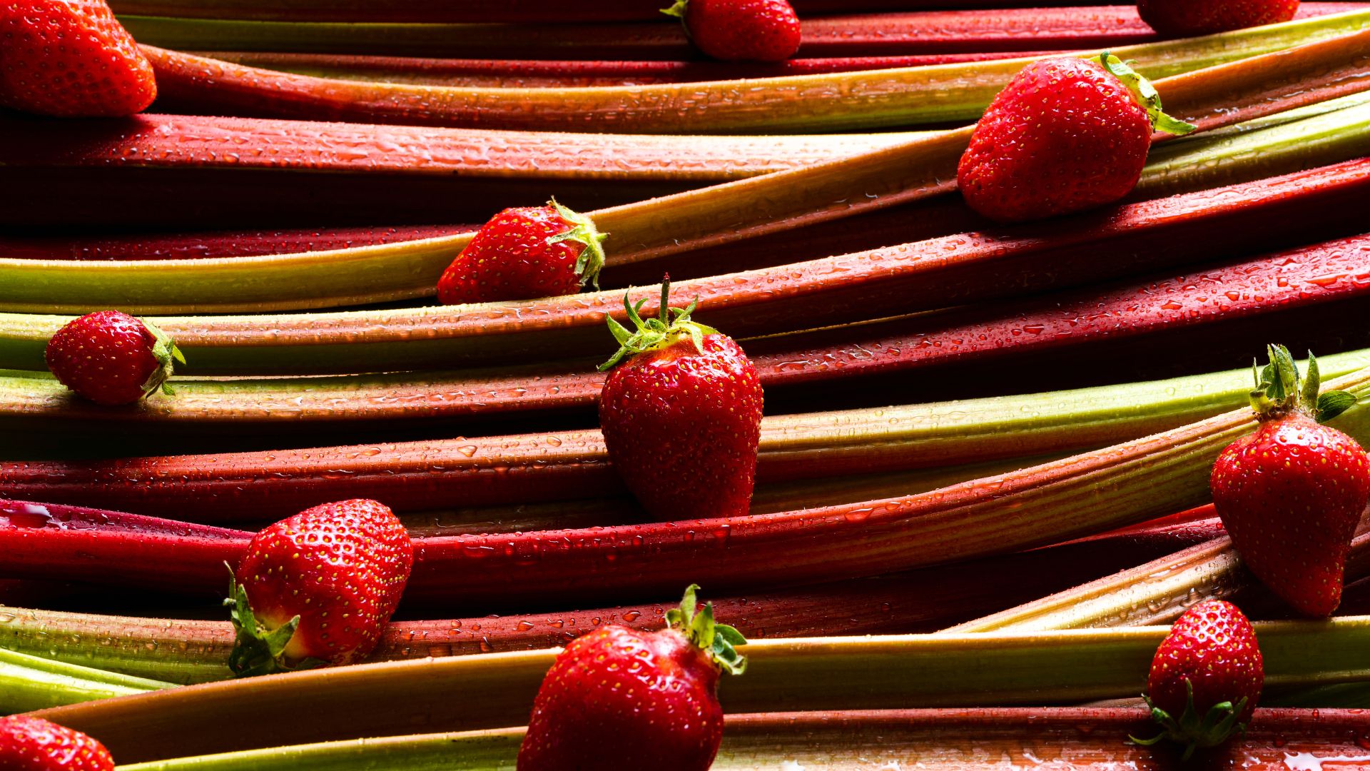 216-Billeder i mails og artikler (1920 × 1080px) - 2024-01-24T160051.246.jpg