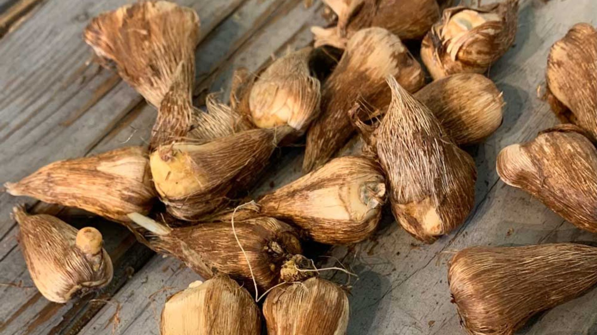 22-Billeder i mails og artikler (1920 × 1080px) (31).jpg