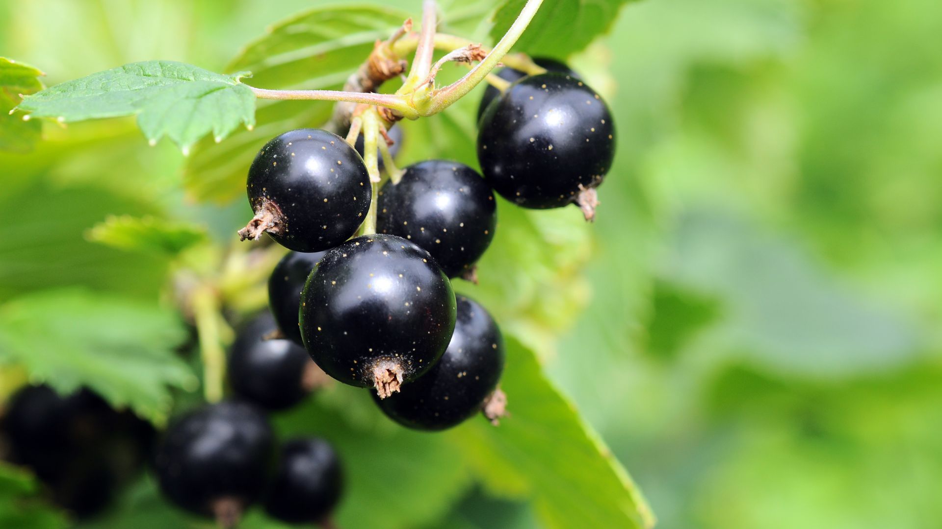 220-Billeder i mails og artikler (1920 × 1080px) - 2023-10-25T072510.885.jpg