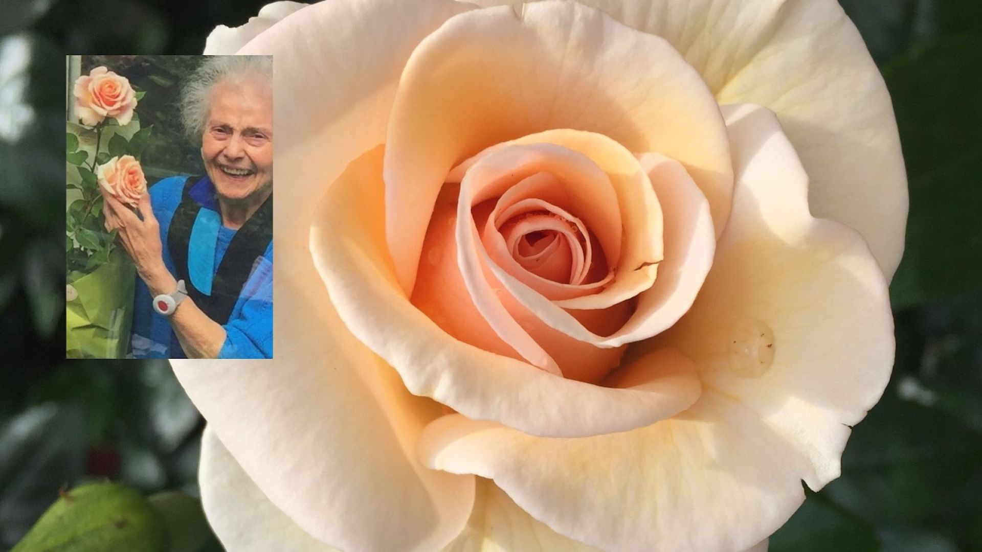 228-Billeder i mails og artikler (1920 × 1080px) (5).jpg