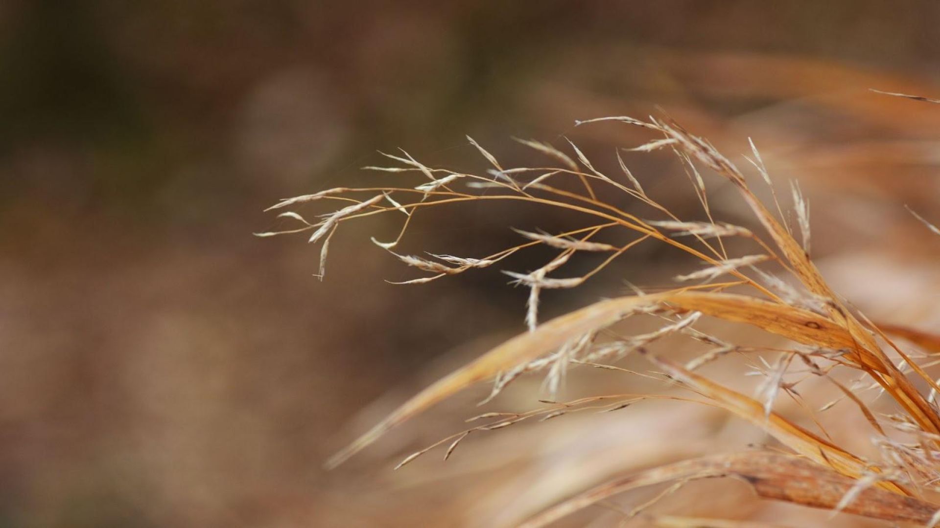 228-Billeder i mails og artikler (1920 × 1080px) (62).jpg