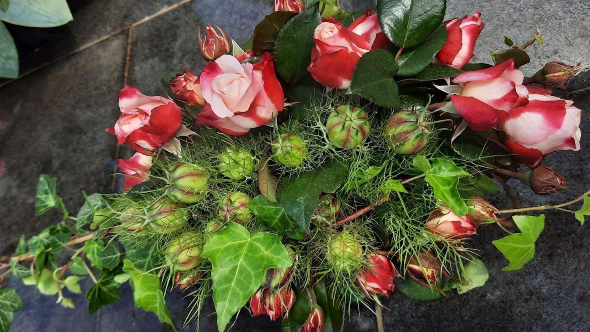 237-Billeder i mails og artikler (1920 × 1080px) (32).jpg