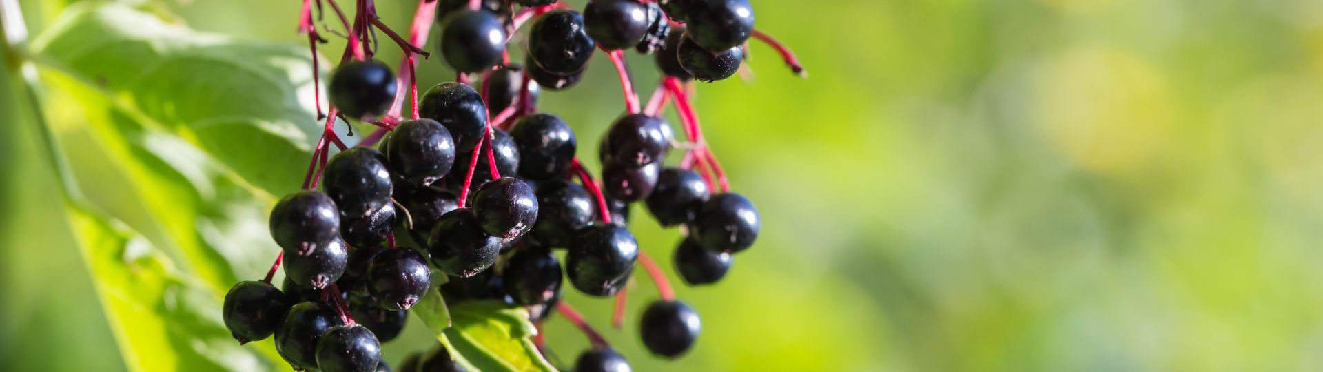 237-til lister (1920 × 540px) (68).jpg