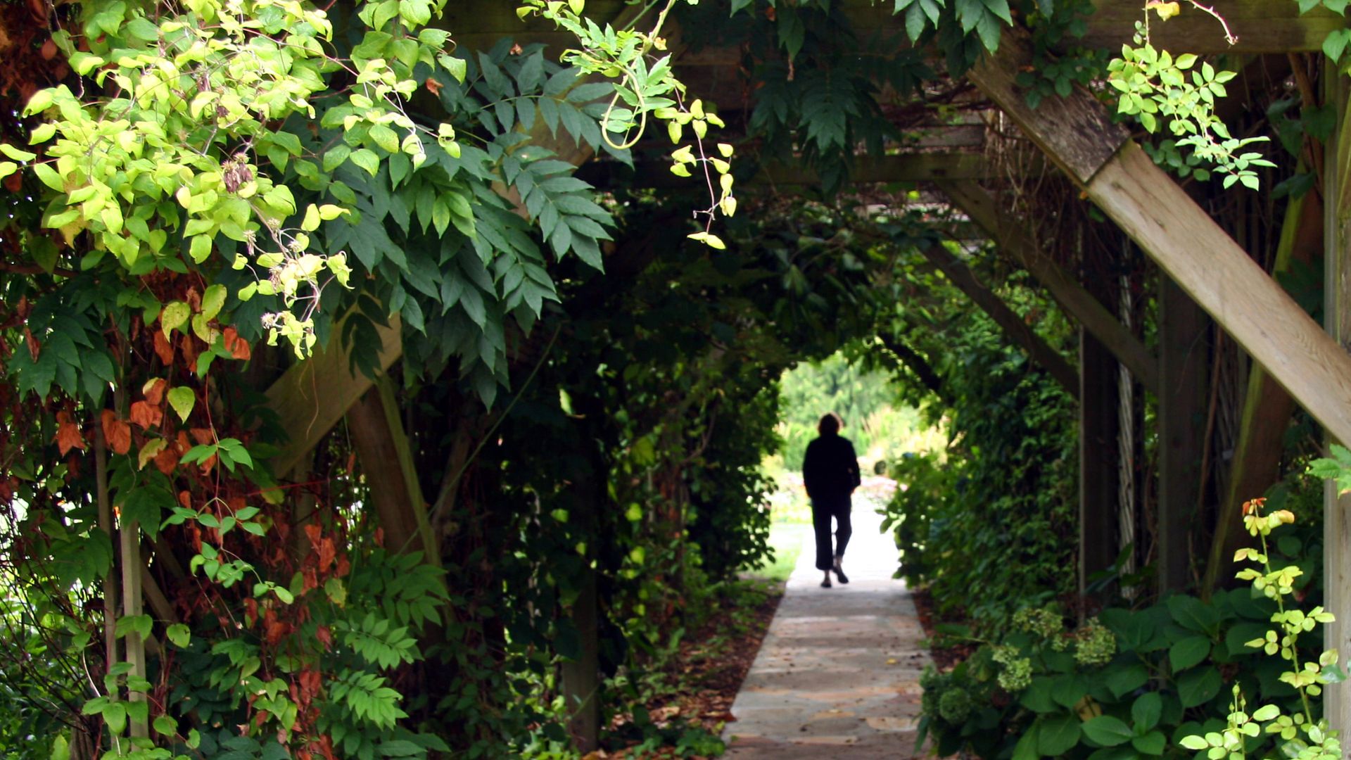 238-Billeder i mails og artikler (1920 × 1080px) - 2023-11-02T160613.895.jpg