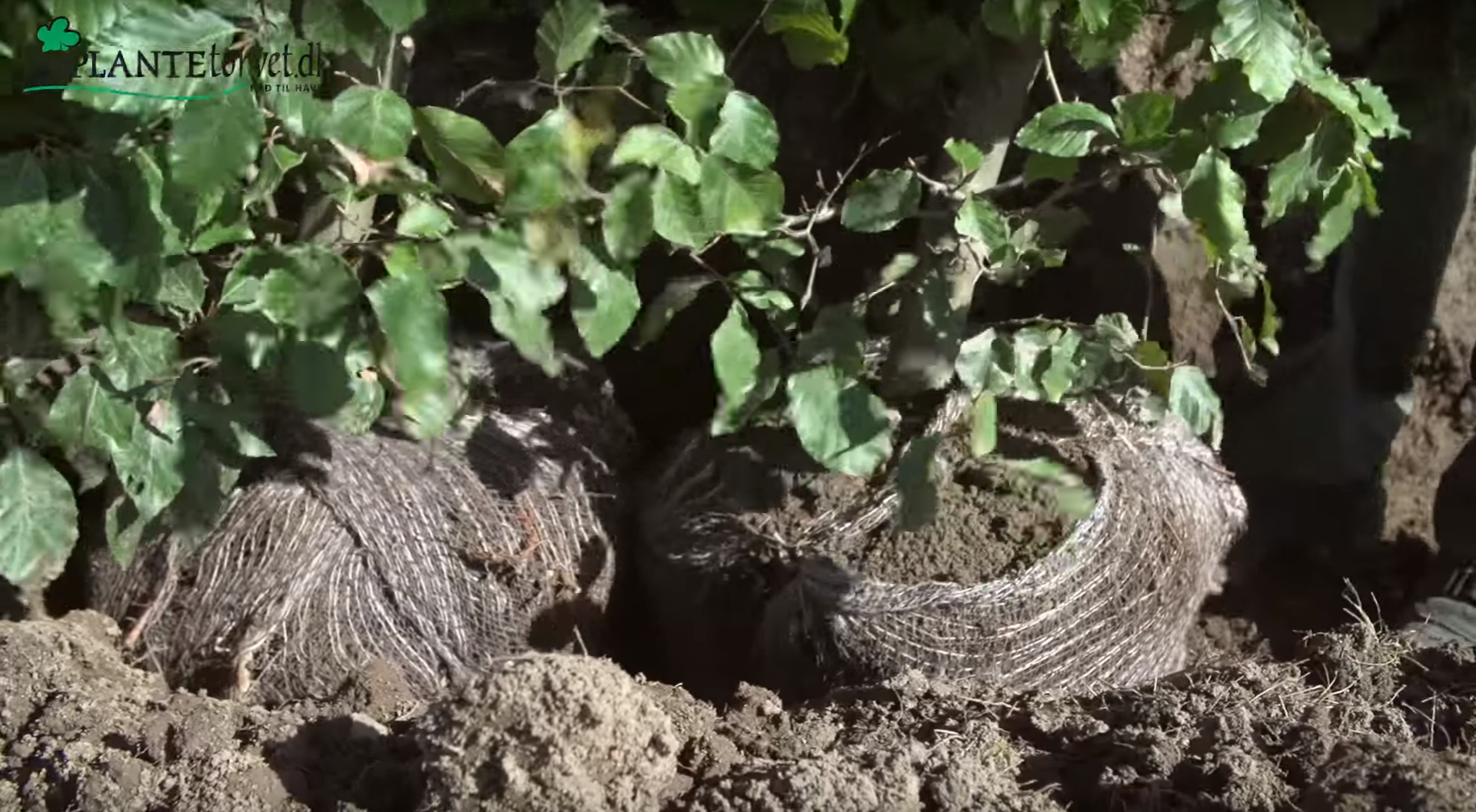 239-Skærmbillede 2016-09-29 12.00.22.png