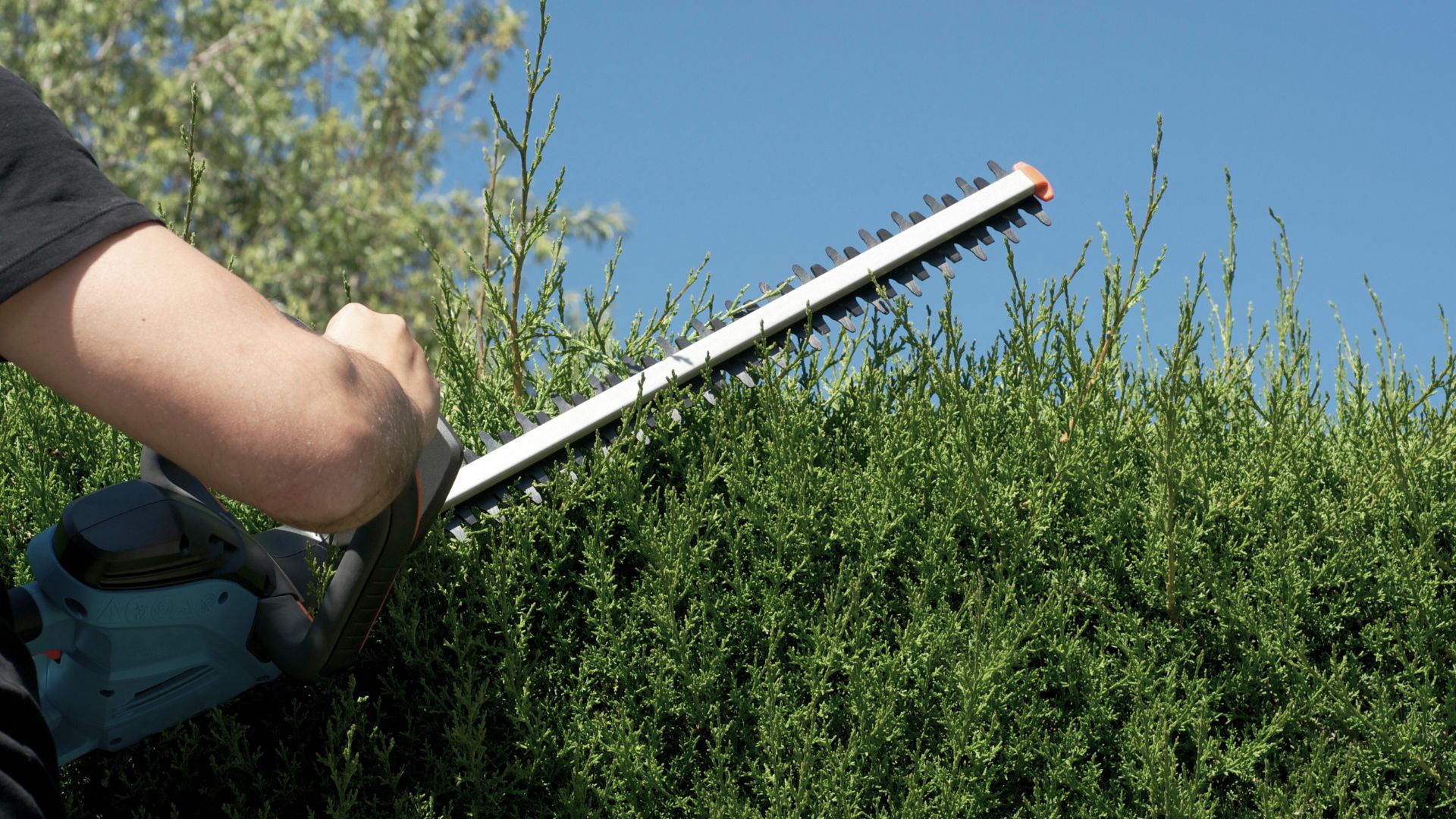 24-Billeder i mails og artikler (1920 × 1080px) (60).jpg