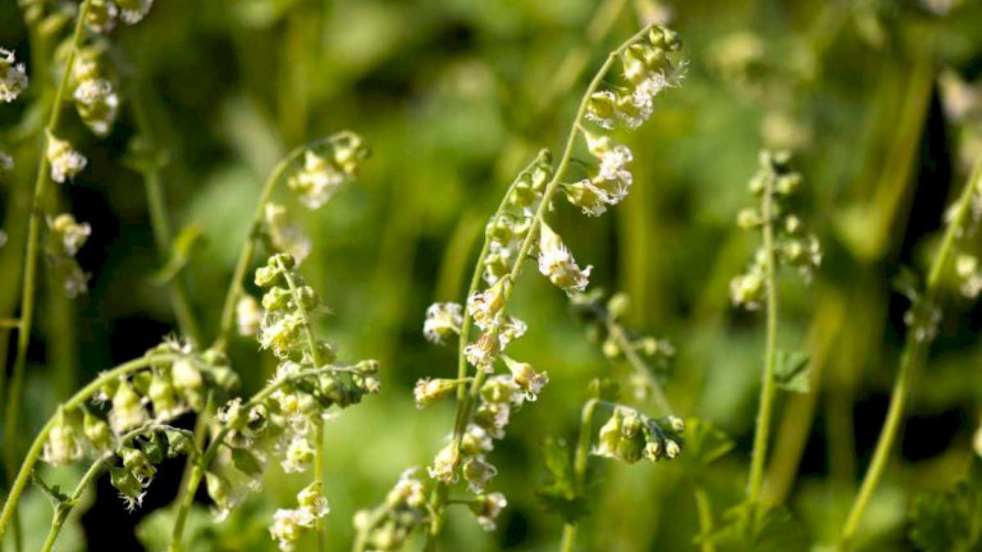 255-Billeder i mails og artikler (1920 × 1080px) - 2023-10-26T120629.998.jpg