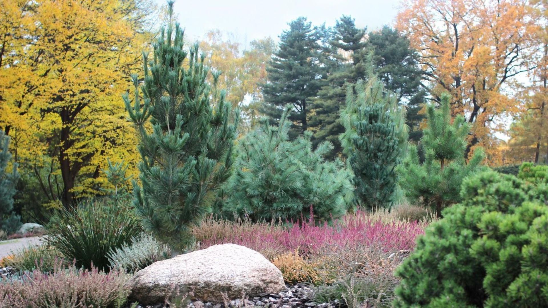 259-Billeder i mails og artikler (1920 × 1080px) (99).jpg