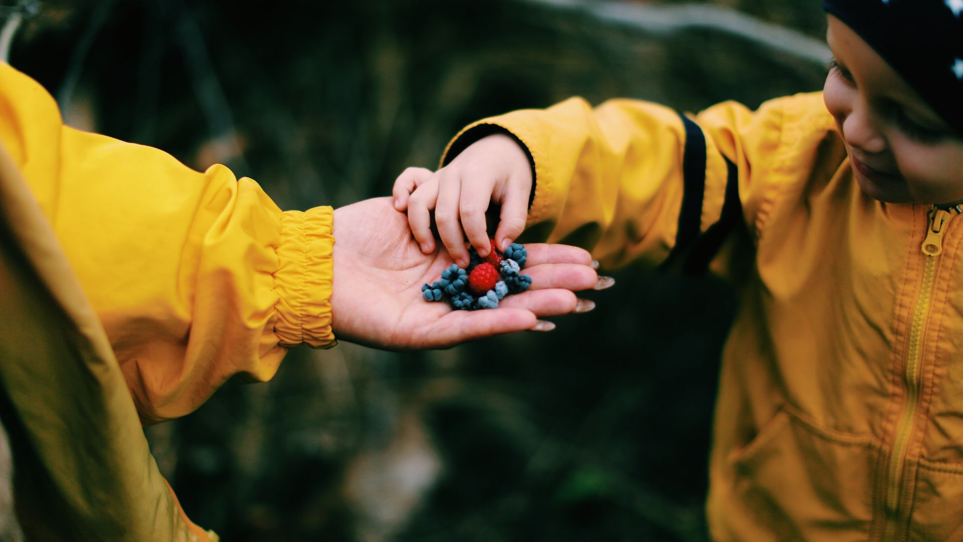 268-Billeder i mails og artikler (1920 × 1080px) - 2024-01-30T091251.723.jpg