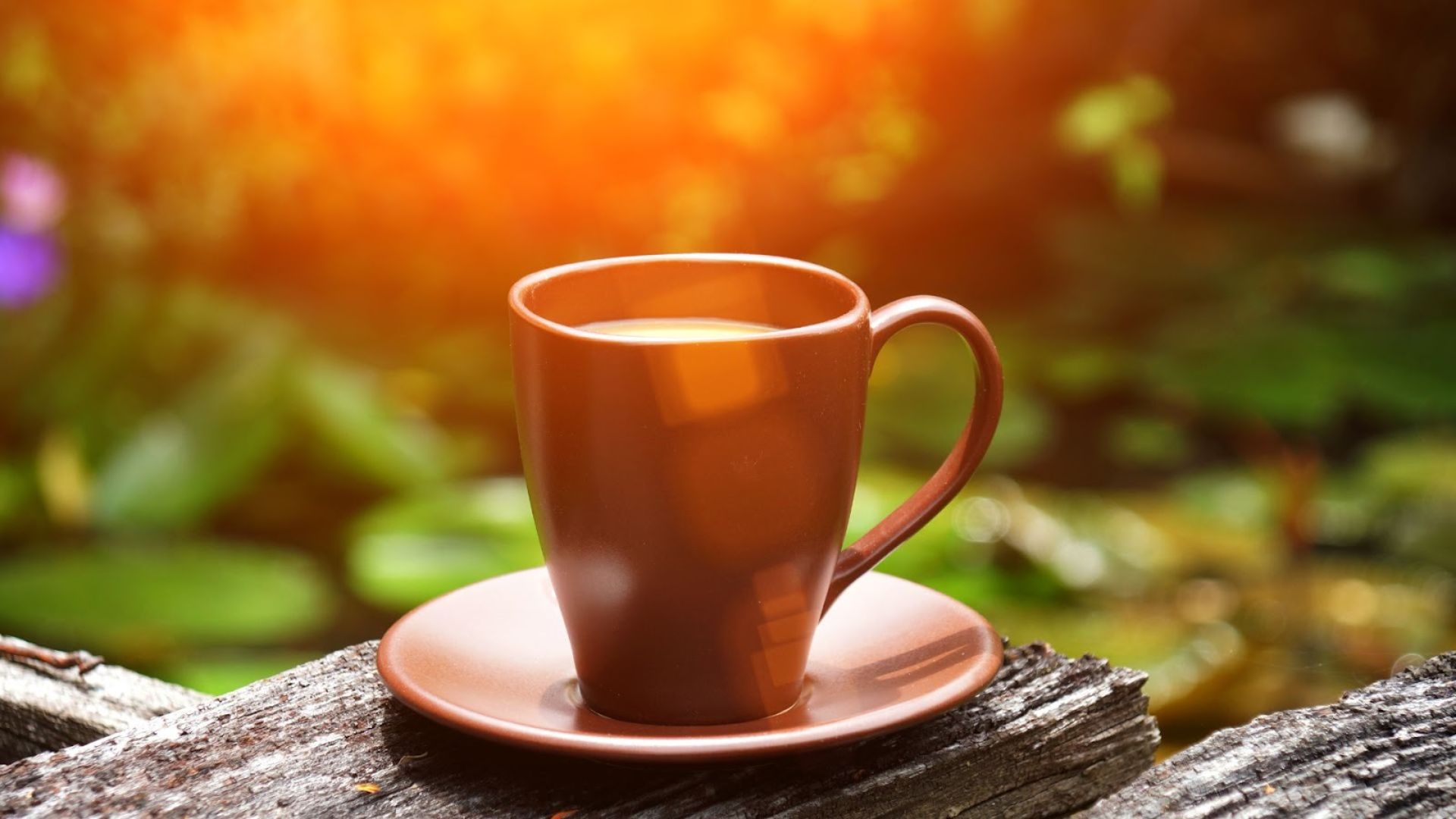 269-Billeder i mails og artikler (1920 × 1080px) - 2023-04-14T154643.966.jpg