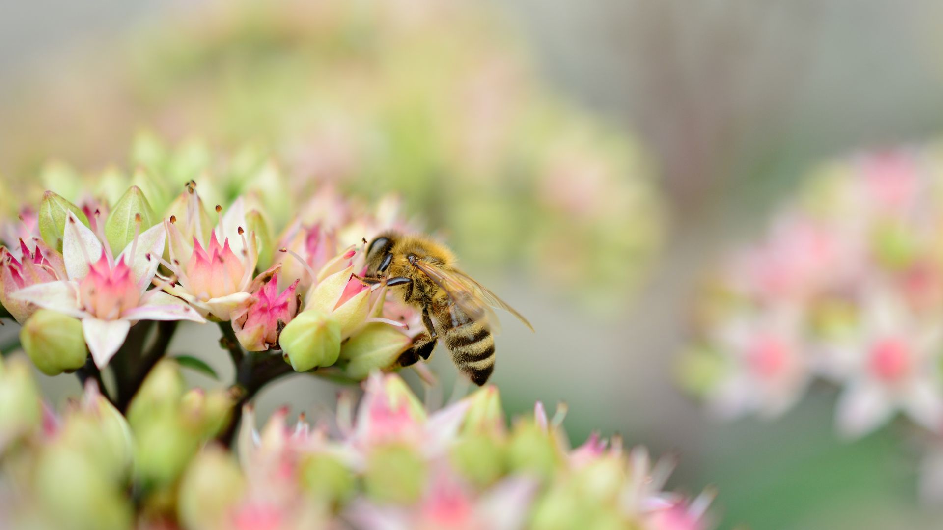 276-Billeder i mails og artikler (1920 × 1080px) (52).jpg