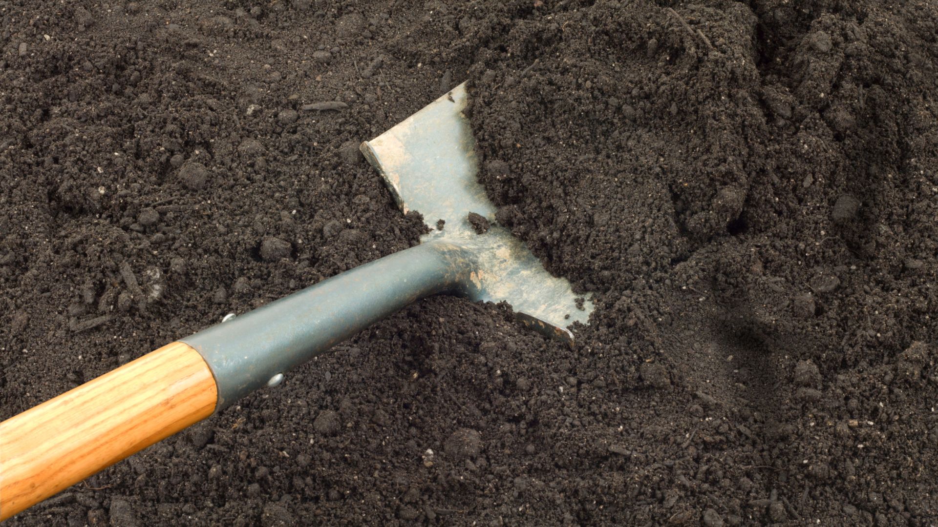 280-Billeder i mails og artikler (1920 × 1080px) - 2023-10-31T122641.849.jpg