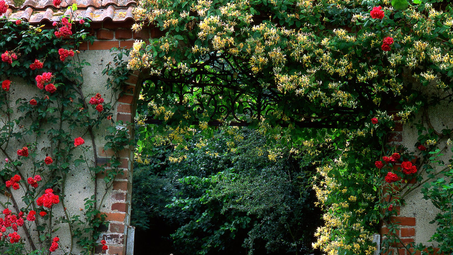 282-Billeder i mails og artikler (1920 × 1080px) (60).jpg