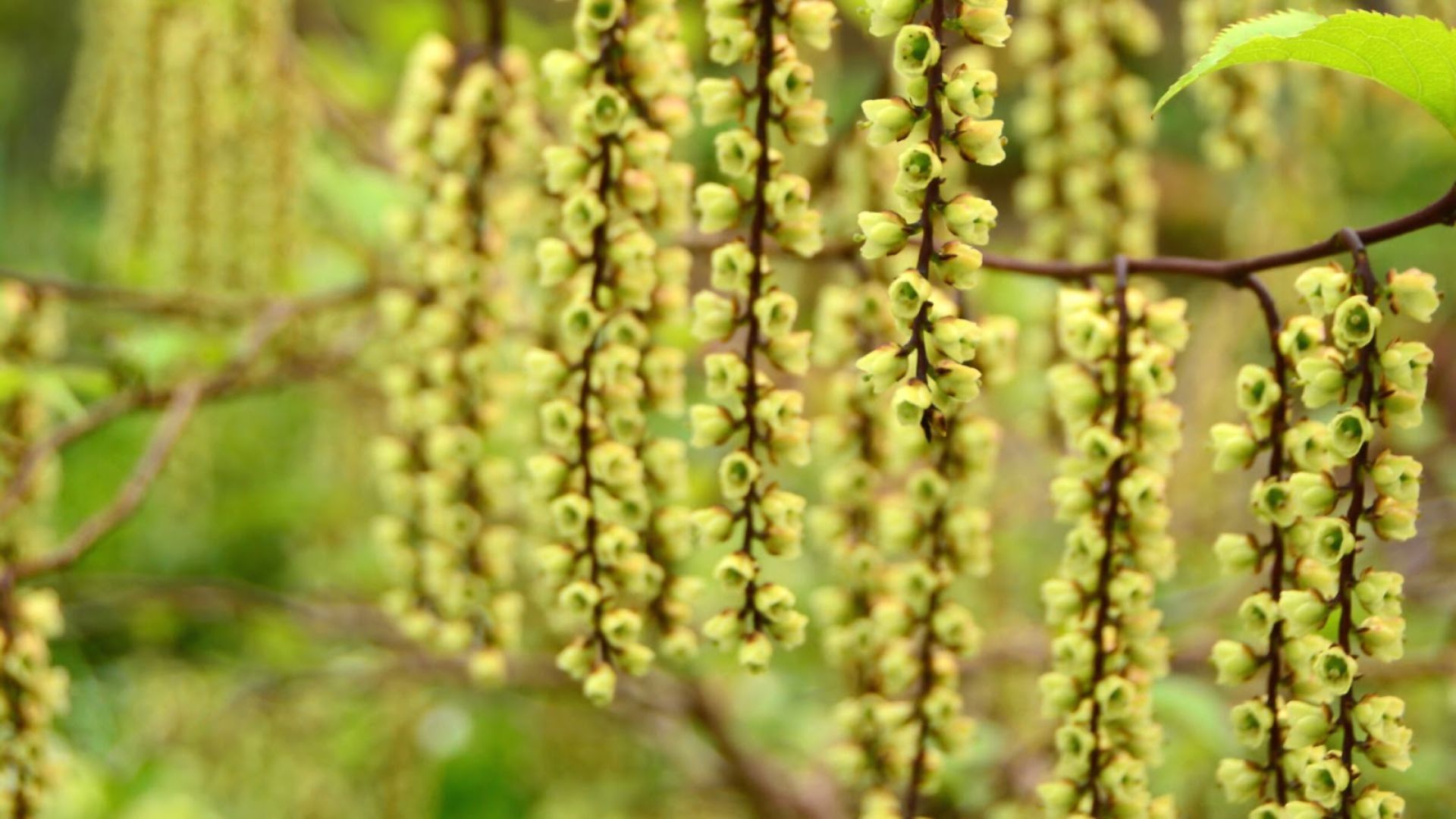 283-Billeder i mails og artikler (1920 × 1080px) (10).jpg