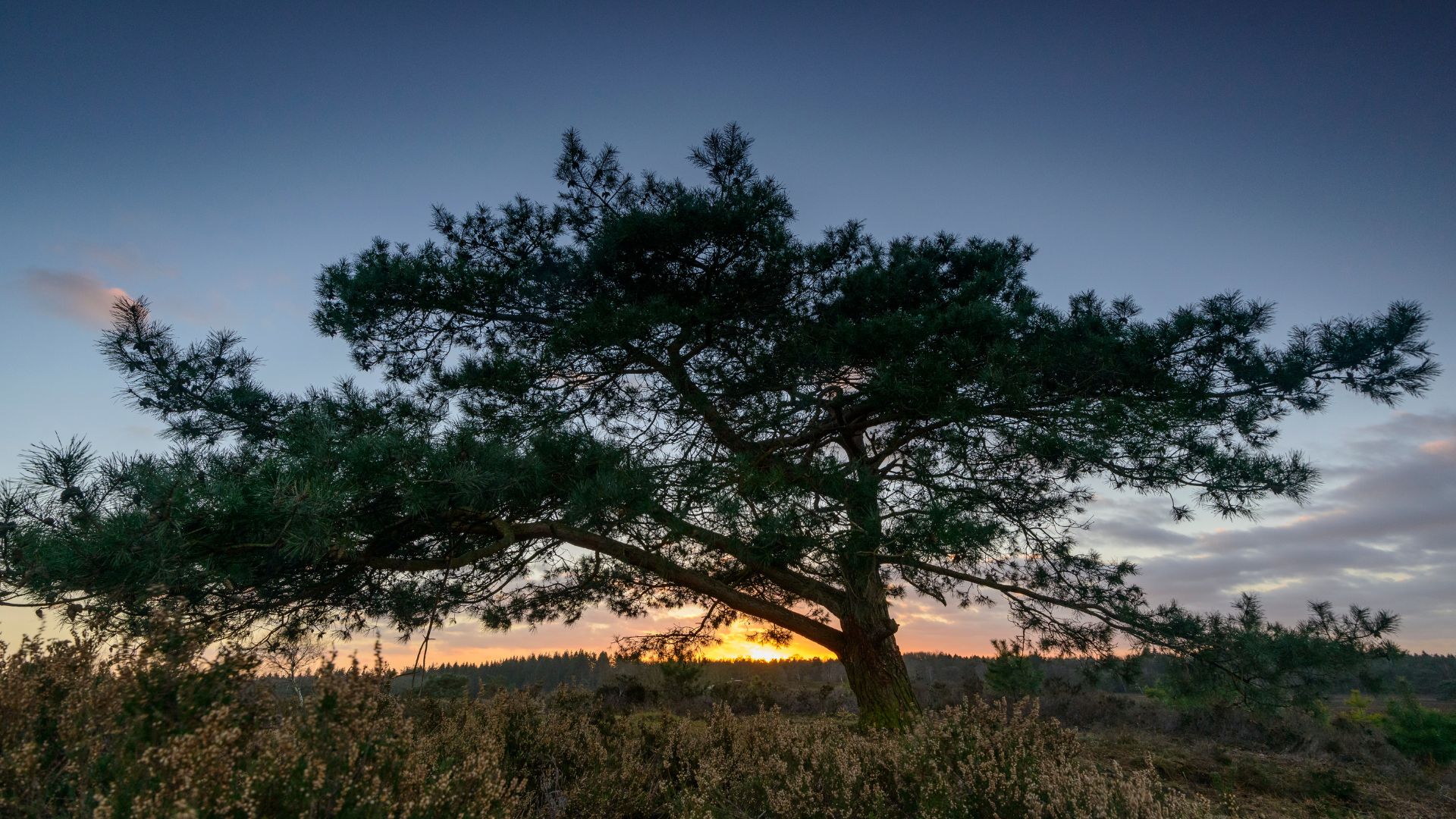 285-Billeder i mails og artikler (1920 × 1080px) (9).jpg