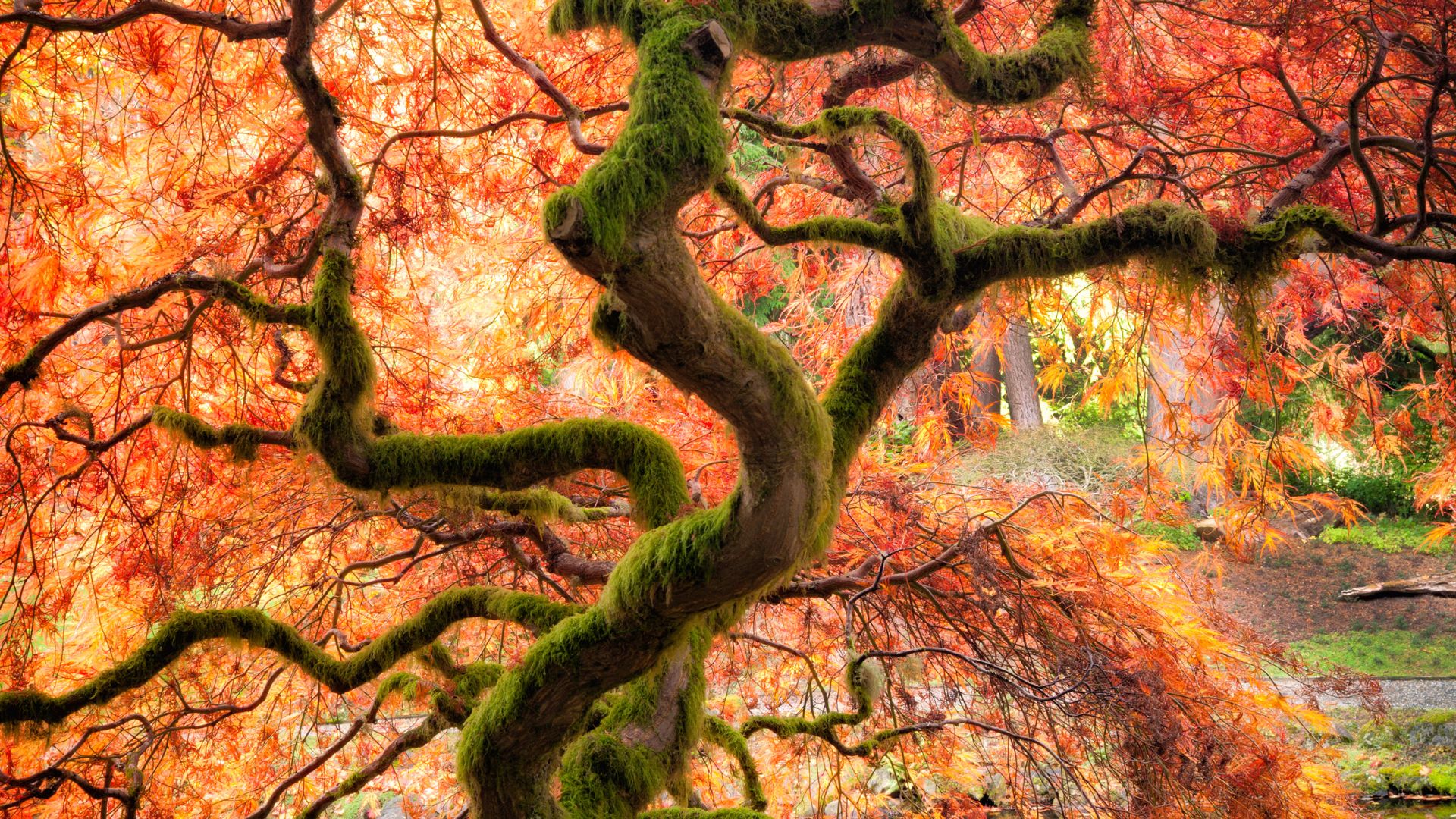 287-Billeder i mails og artikler (1920 × 1080px) (42).jpg