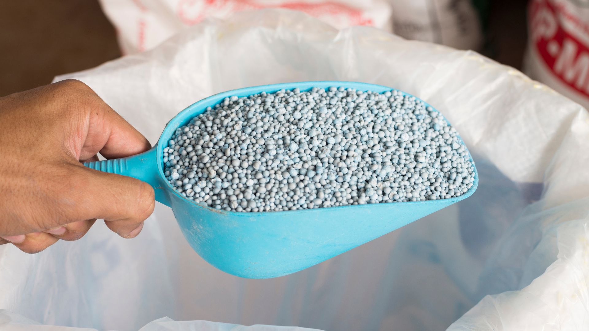 288-Billeder i mails og artikler (1920 × 1080px) (81).jpg