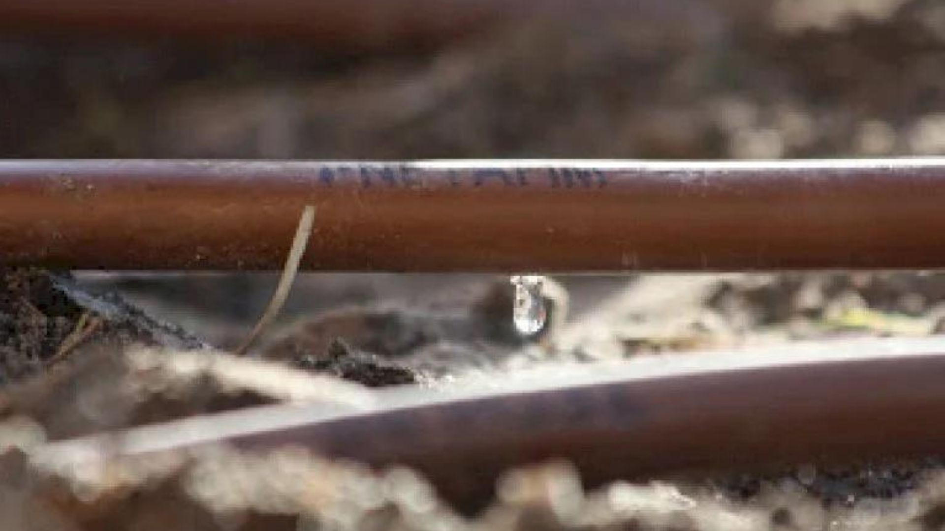 290-Billeder i mails og artikler (1920 × 1080px) - 2023-06-14T112713.843.jpg