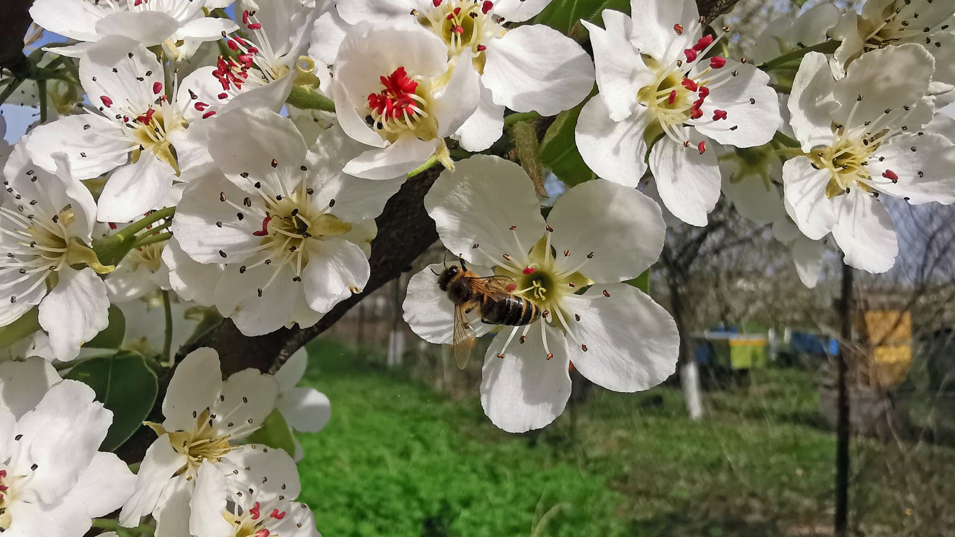 290-Billeder i mails og artikler (1920 × 1080px) - 2024-02-07T131659.668.jpg