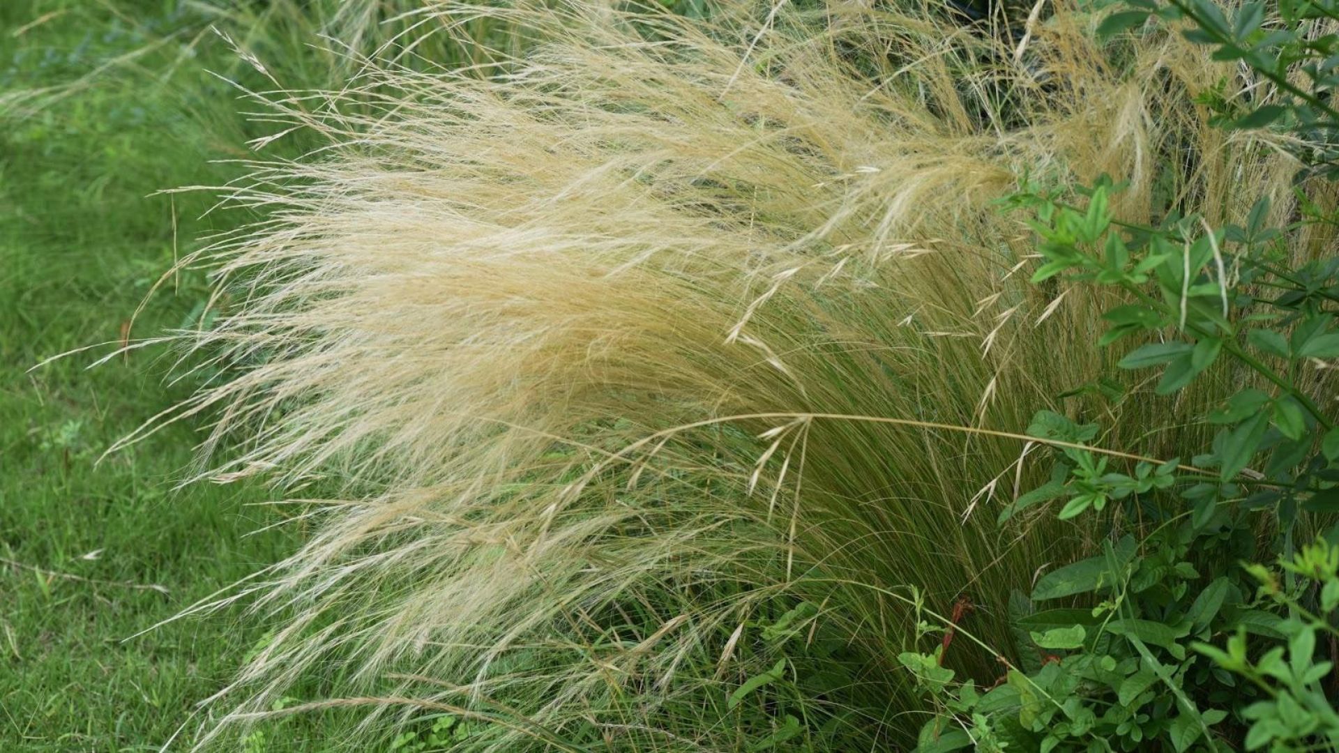 295-Billeder i mails og artikler (1920 × 1080px) (46).jpg