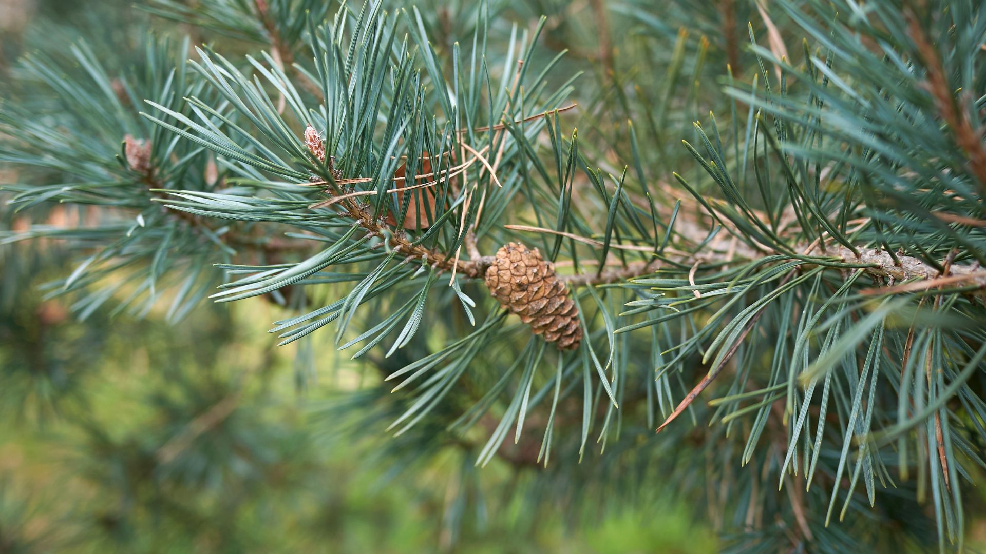 300-Billeder i mails og artikler (1920 × 1080px) (19).jpg