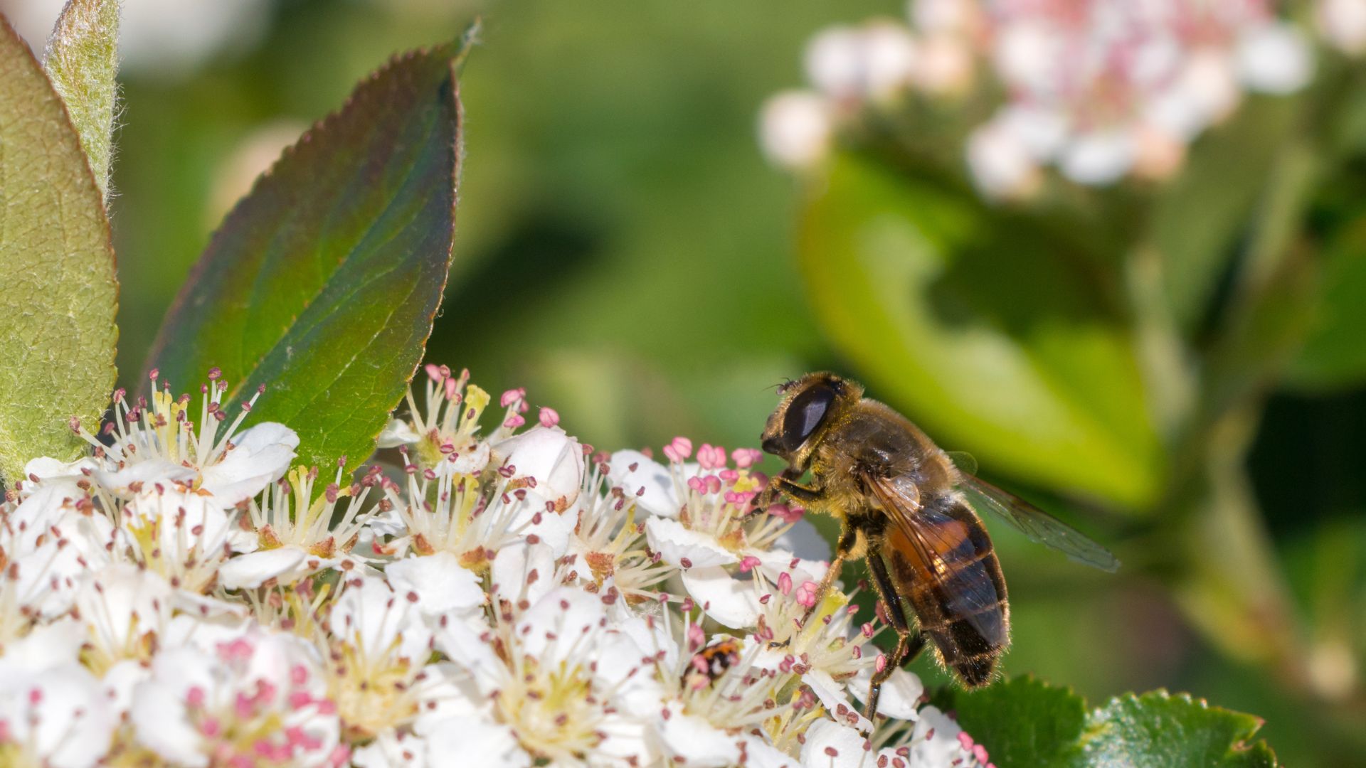 304-Billeder i mails og artikler (1920 × 1080px) - 2023-07-17T095148.583.jpg
