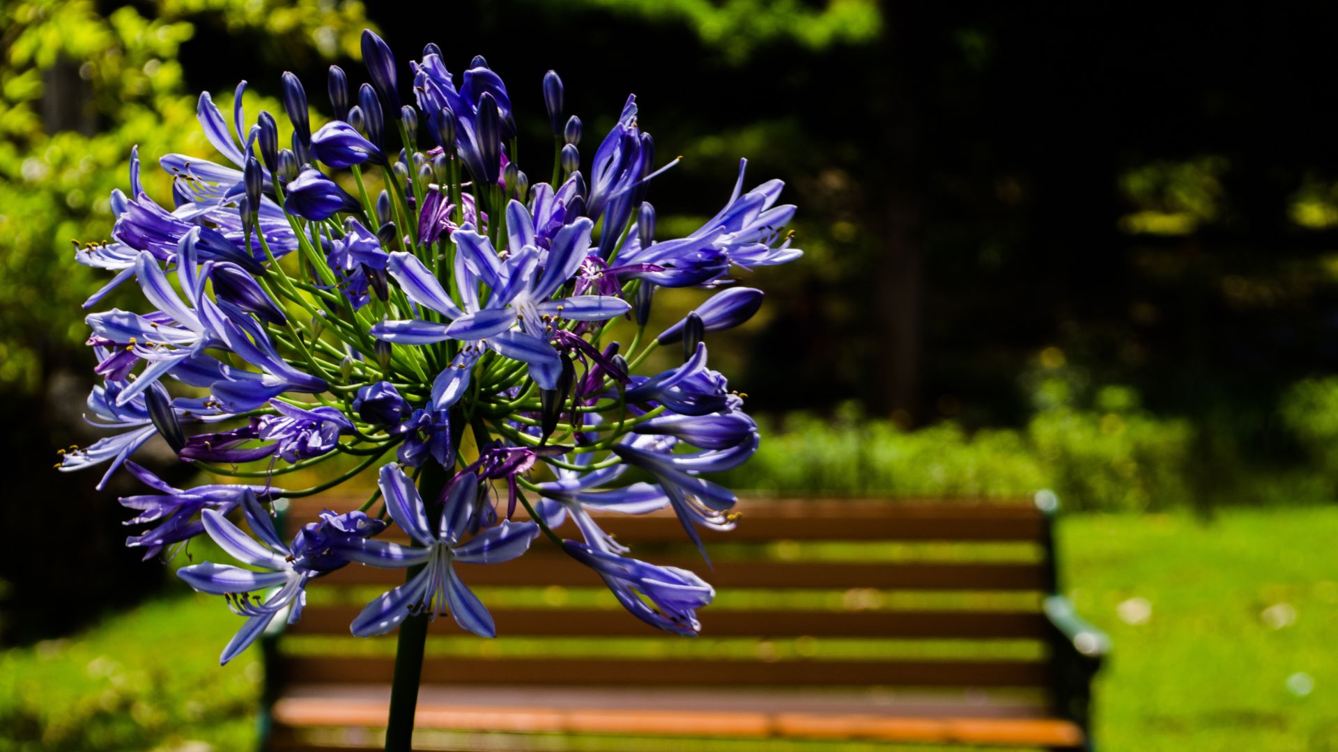 314-Billeder i mails og artikler (1920 × 1080px) (70).jpg