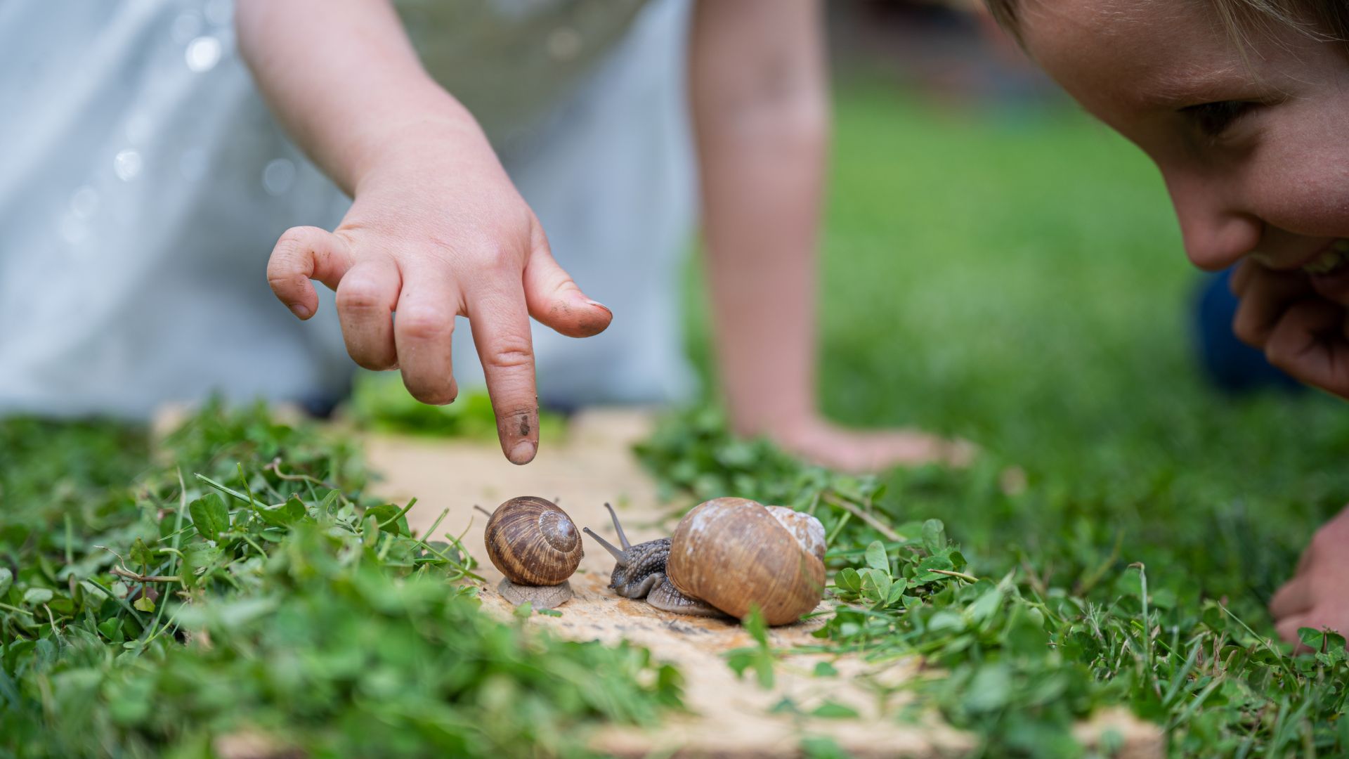 317-Billeder i mails og artikler (1920 × 1080px) (78).jpg