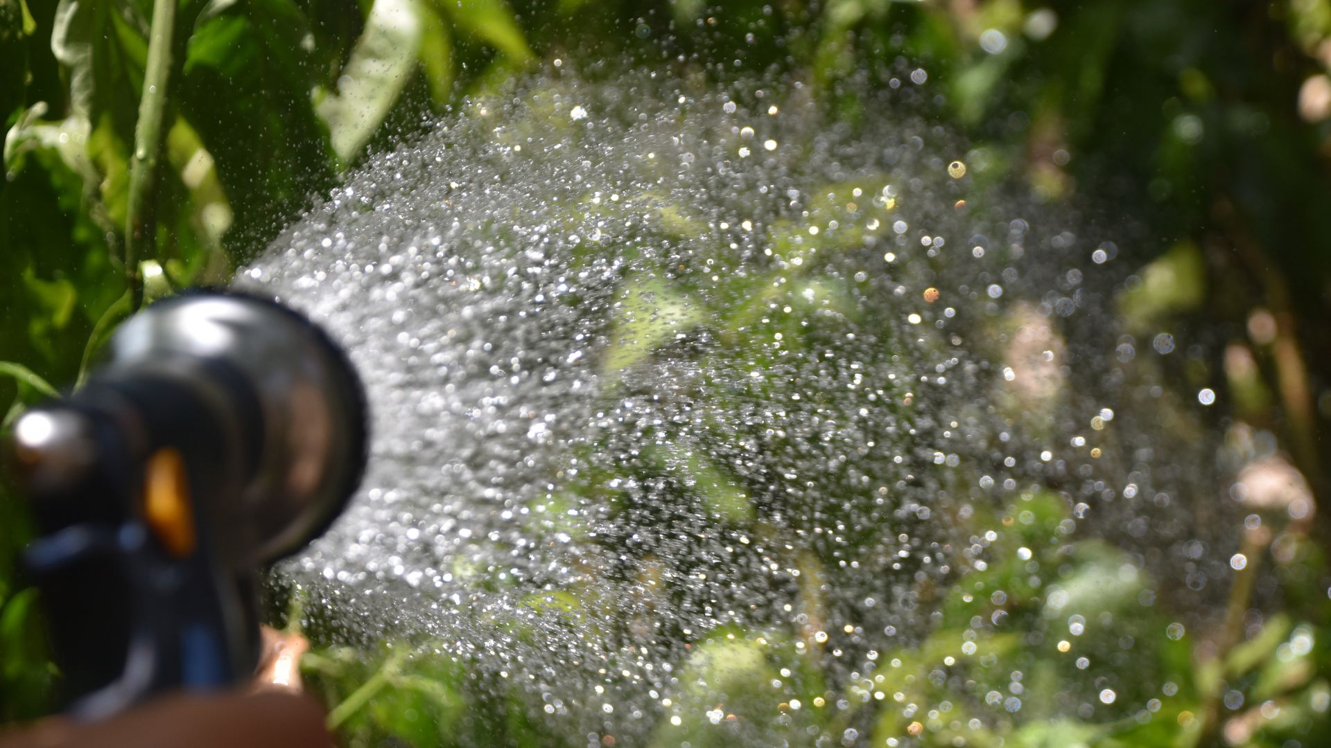 318-Billeder i mails og artikler (1920 × 1080px) (87).jpg